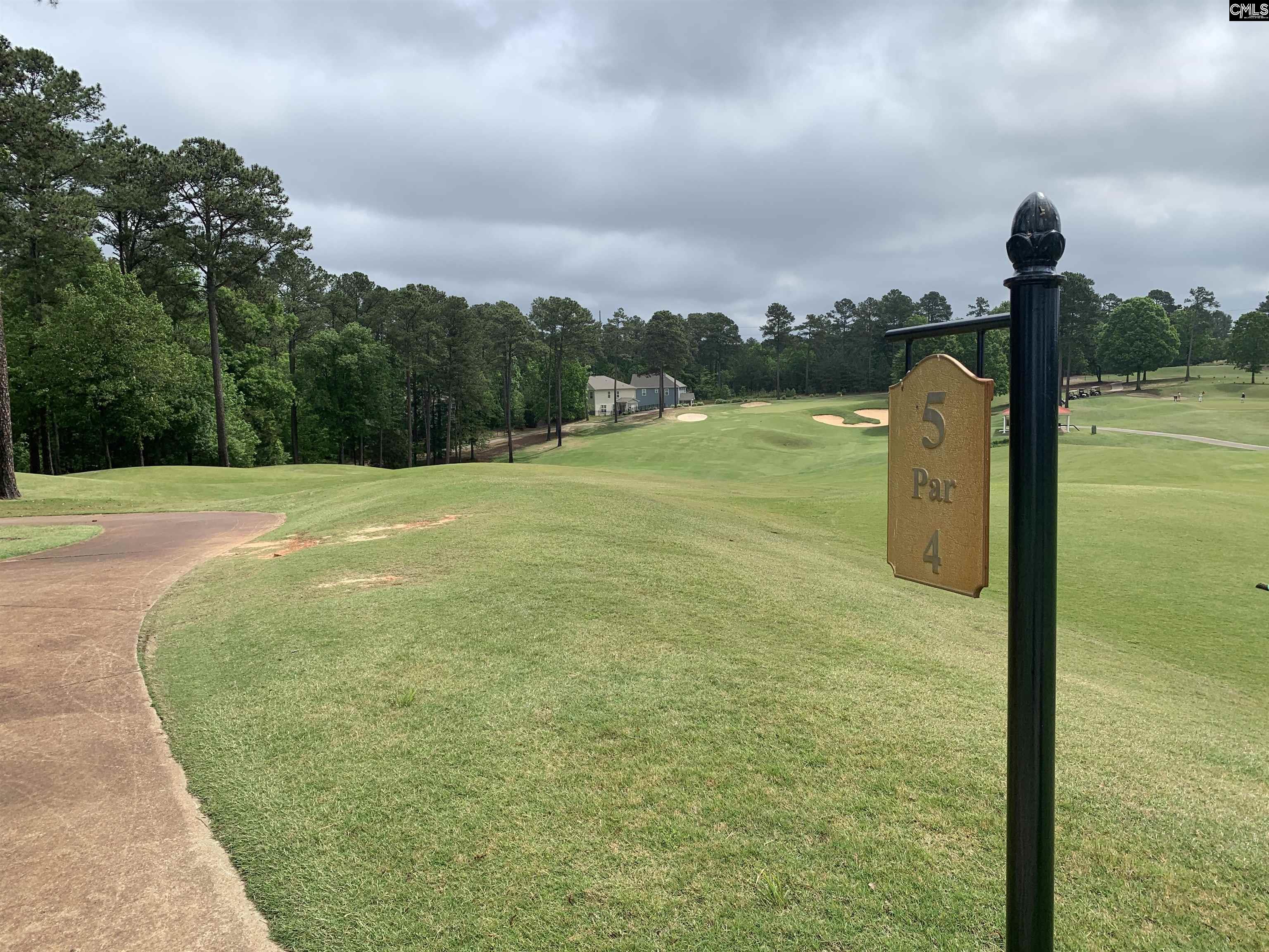 1244 Coogler Crossing Drive Blythewood, SC 29016