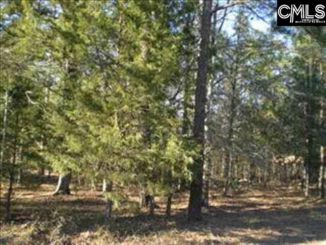 337 John Kinards Circle Chapin, SC 29036