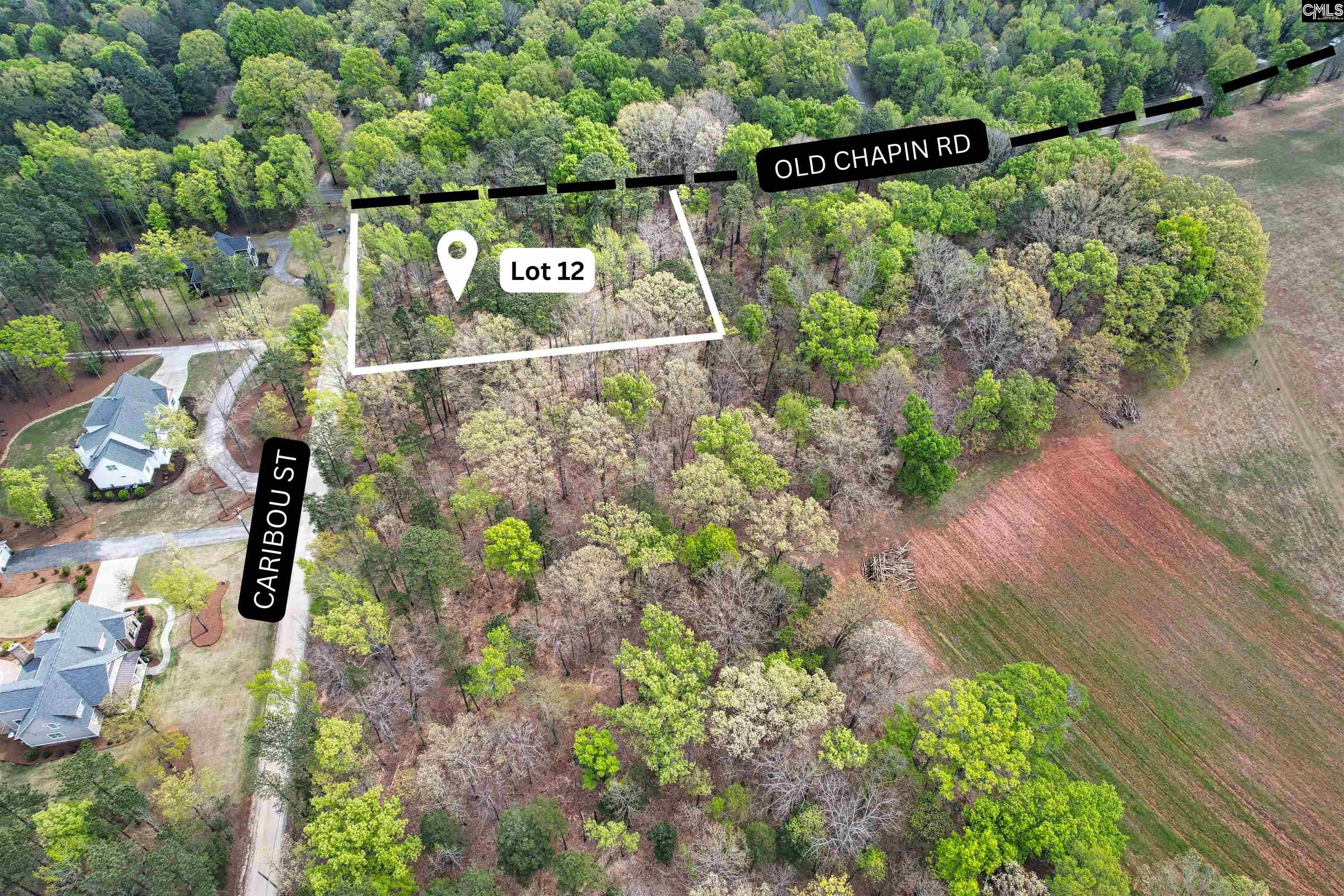 105 Caribou Street Unit #12 Lexington, SC 29072