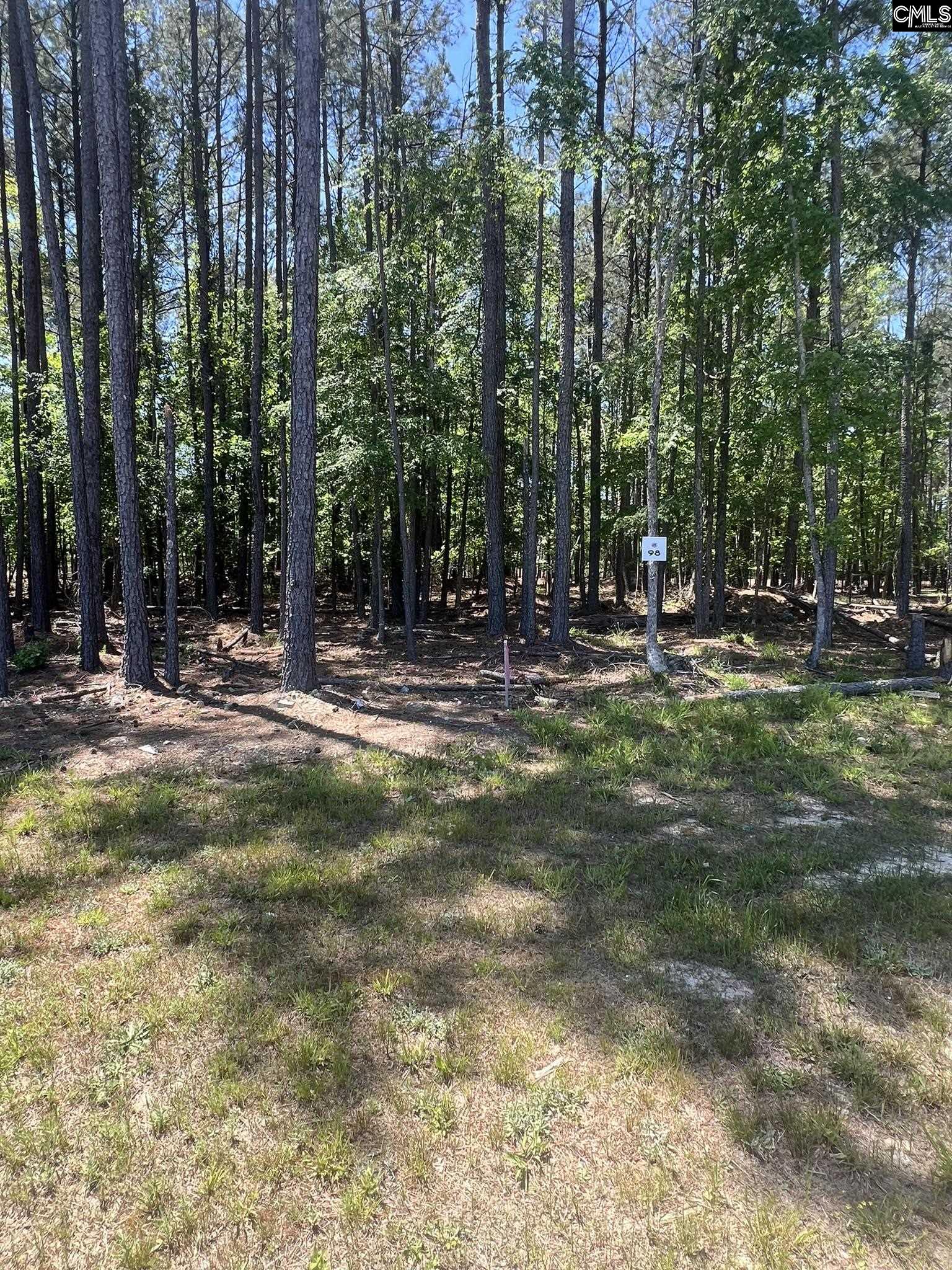167 Timber Trail Lane Unit Lot 99 Prosperity, SC 29127