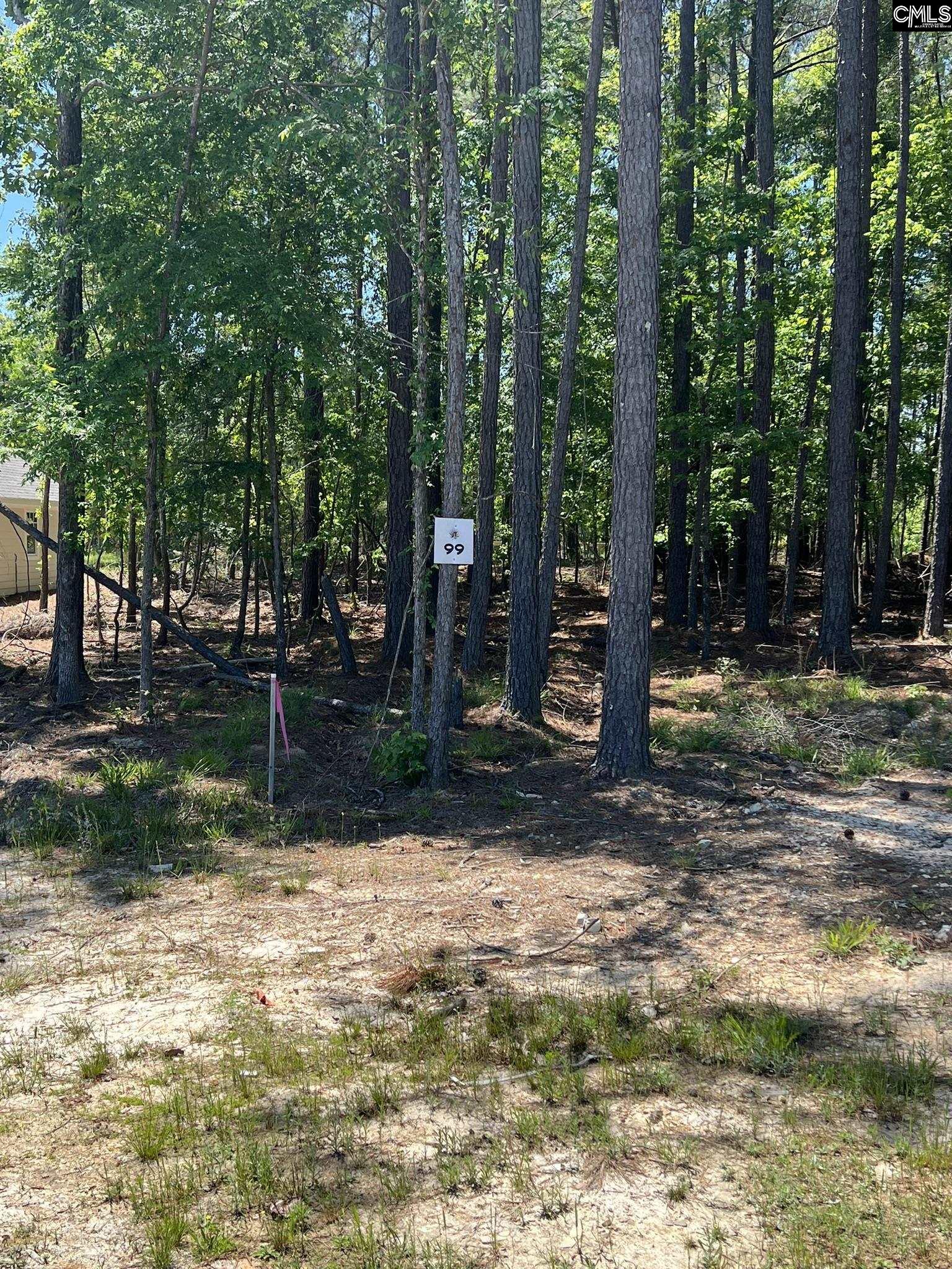 169 Timber Trail Lane Unit Lot 99 Prosperity, SC 29127