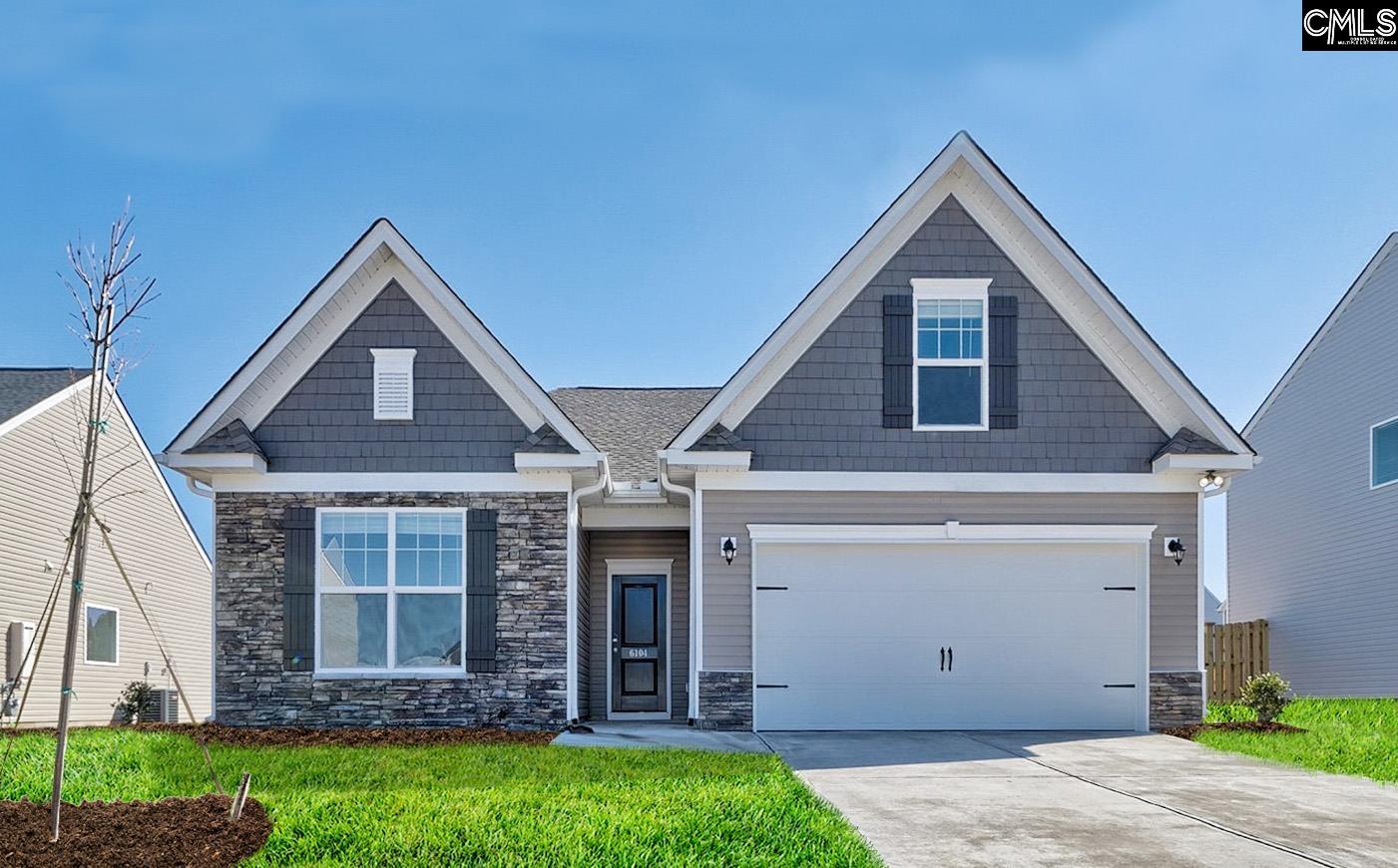267 Chapin Place Way Chapin, SC 29036