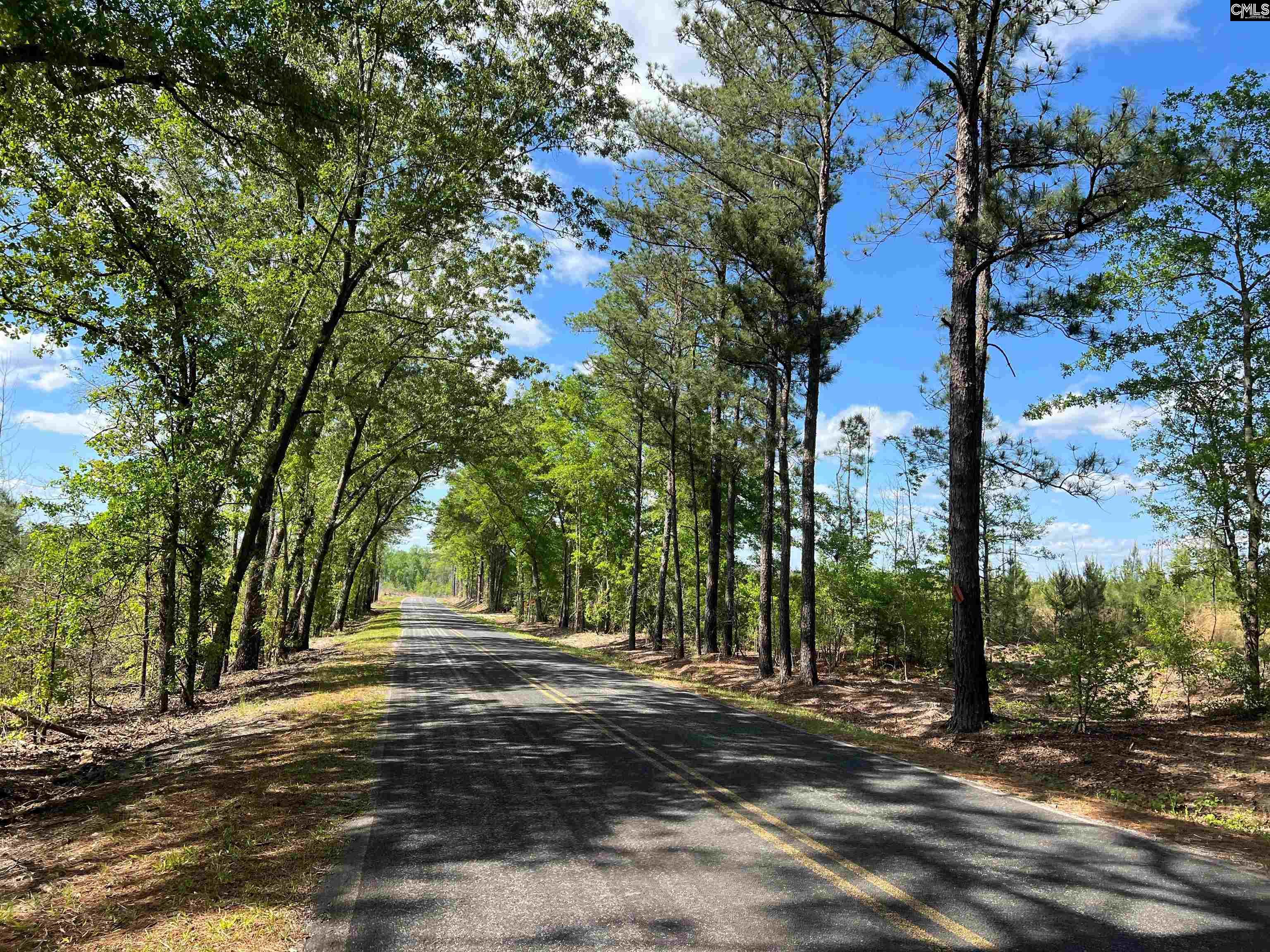 Lot 5 Quattlebaum Rd #5, Leesville, South Carolina image 1