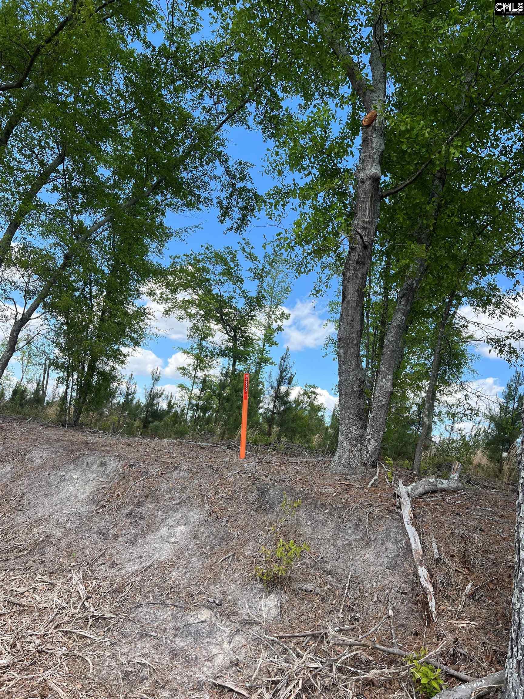 Lot 5 Quattlebaum Rd #5, Leesville, South Carolina image 2