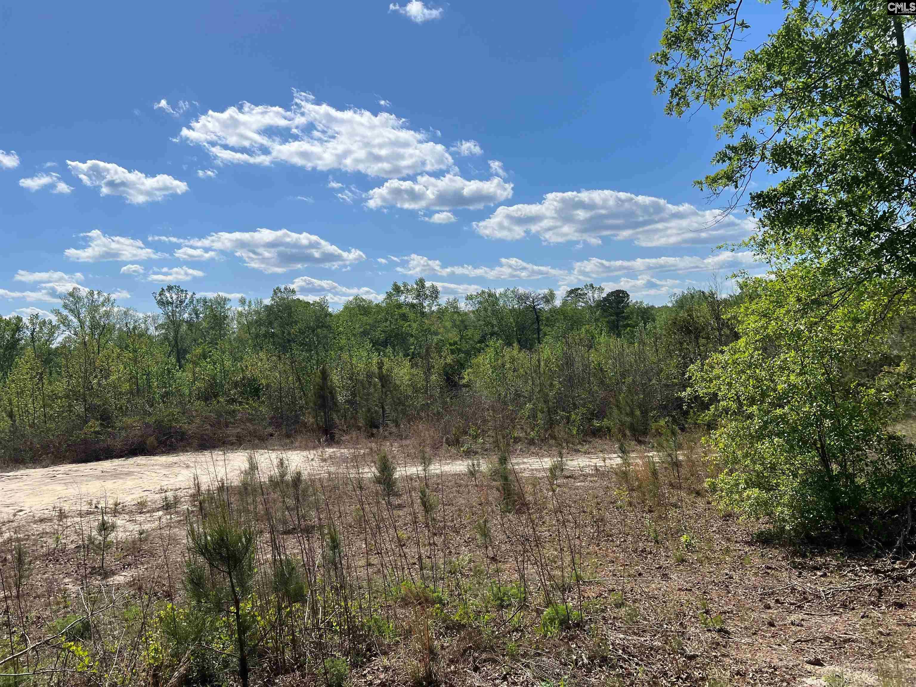 Lot 5 Quattlebaum Rd #5, Leesville, South Carolina image 12