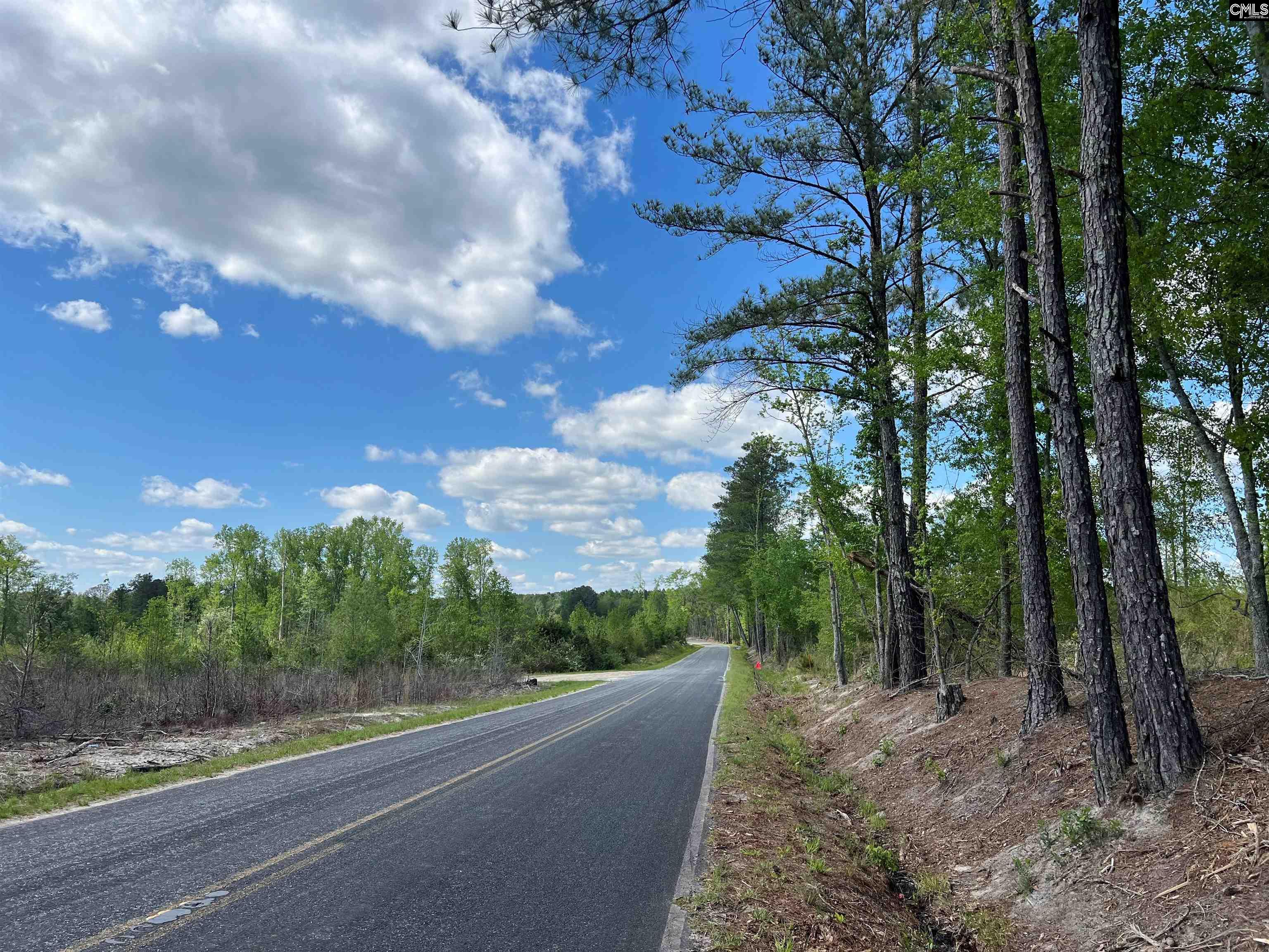 Lot 5 Quattlebaum Rd #5, Leesville, South Carolina image 3