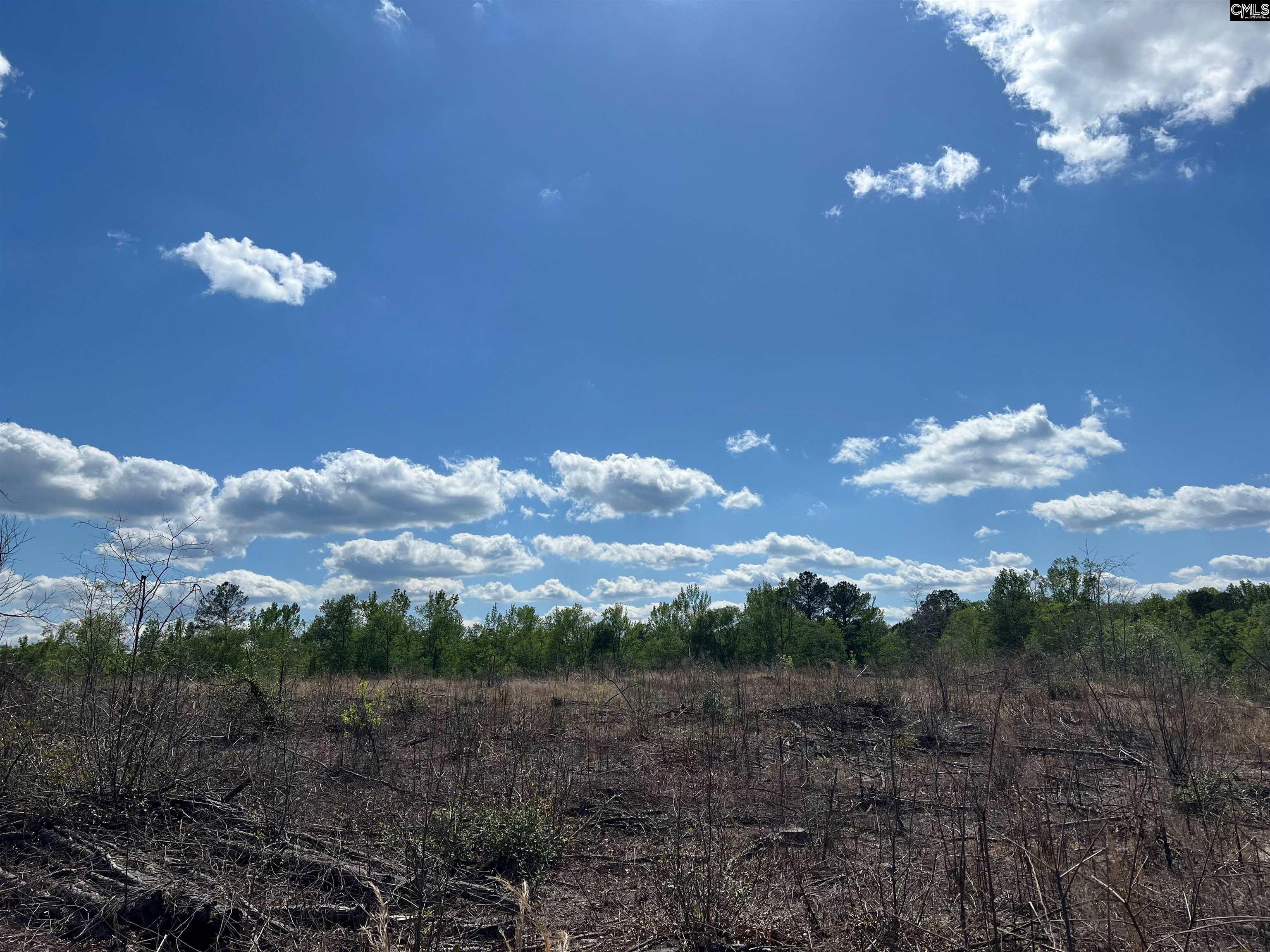 Lot 5 Quattlebaum Rd #5, Leesville, South Carolina image 4