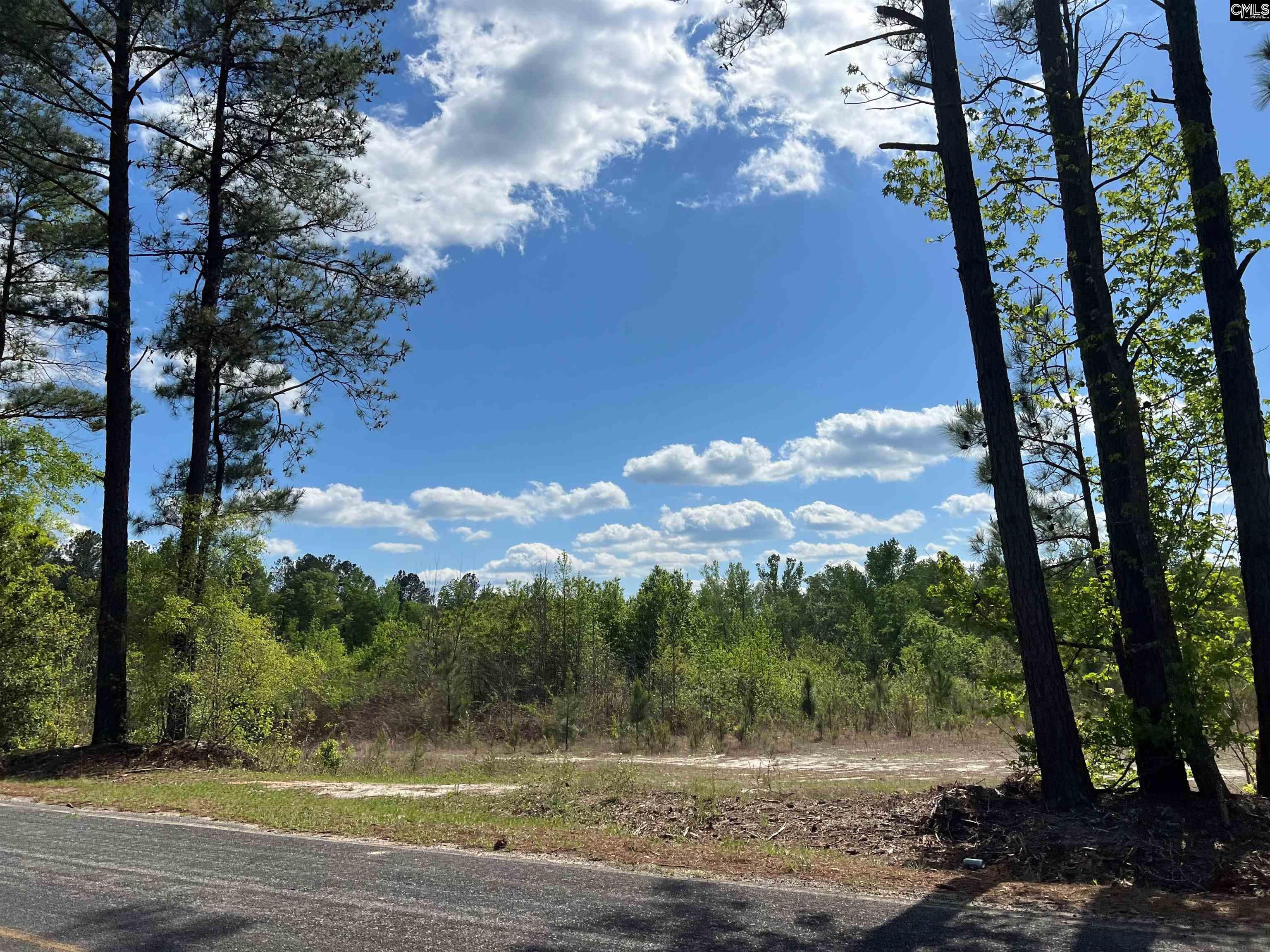Lot 5 Quattlebaum Rd #5, Leesville, South Carolina image 5