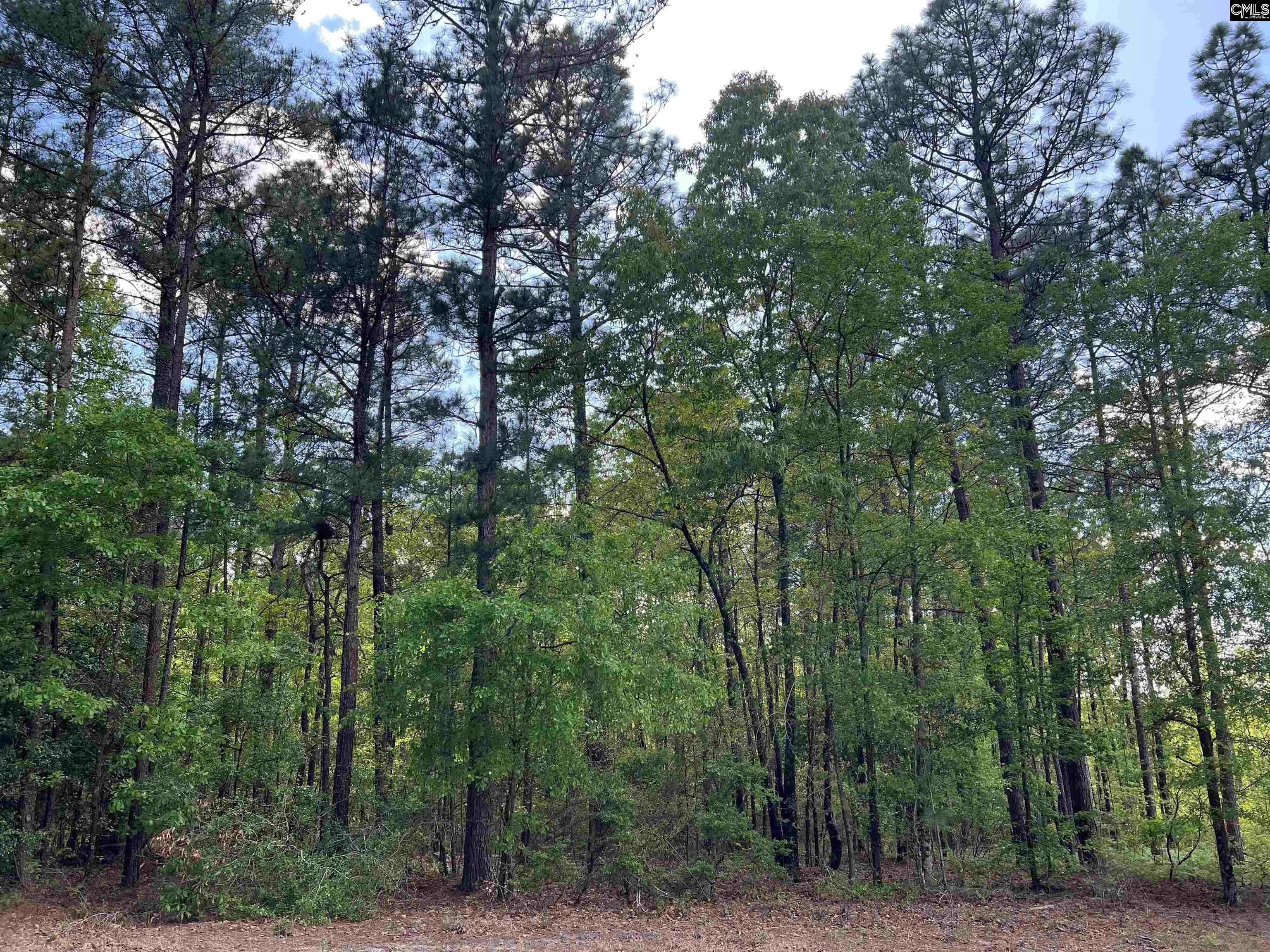 Lot 5 Quattlebaum Rd #5, Leesville, South Carolina image 7