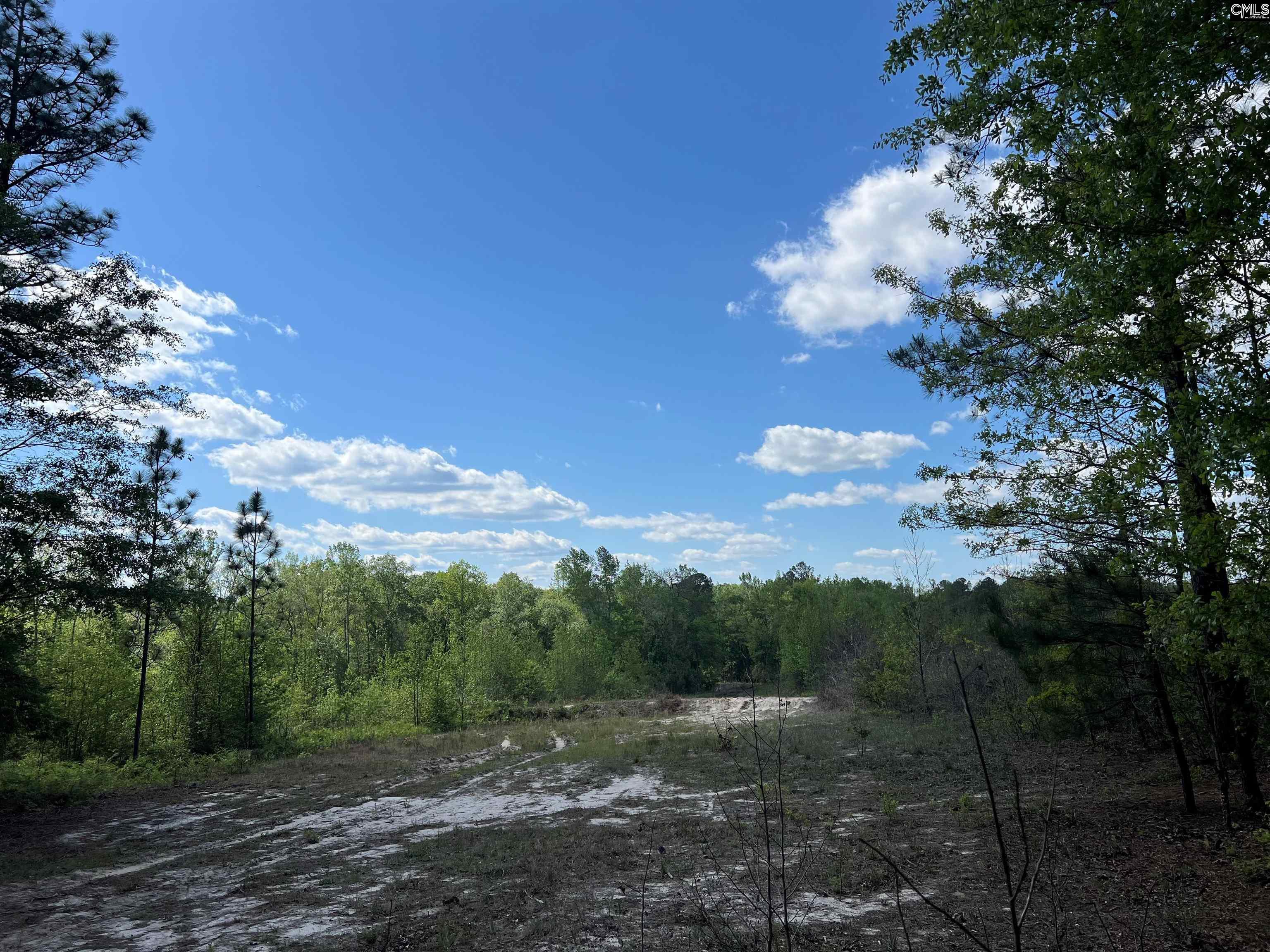 Lot 5 Quattlebaum Rd #5, Leesville, South Carolina image 8