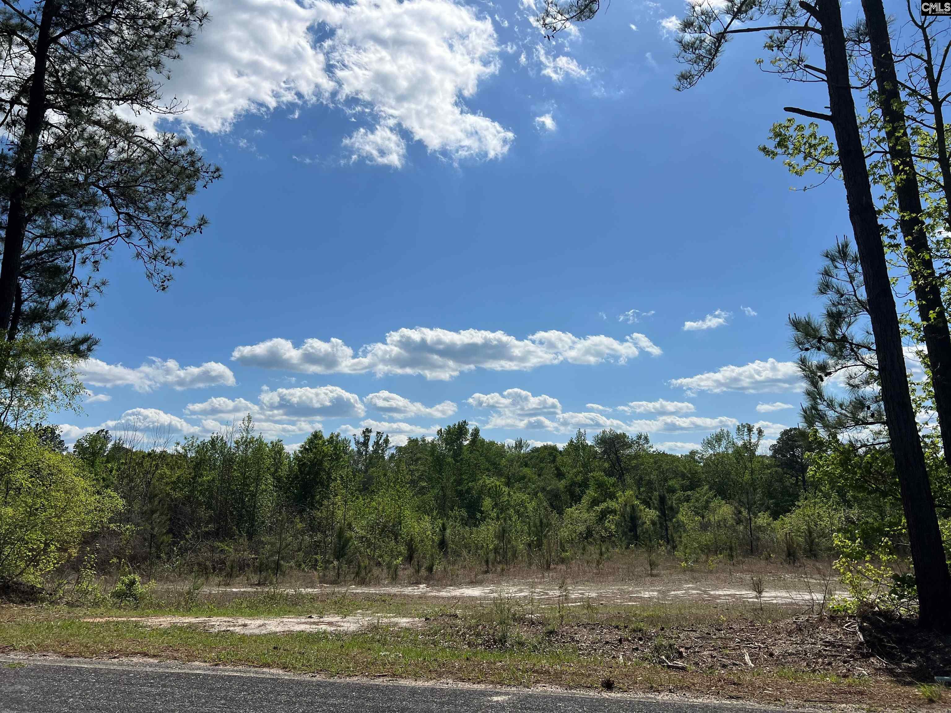 Lot 5 Quattlebaum Rd #5, Leesville, South Carolina image 9