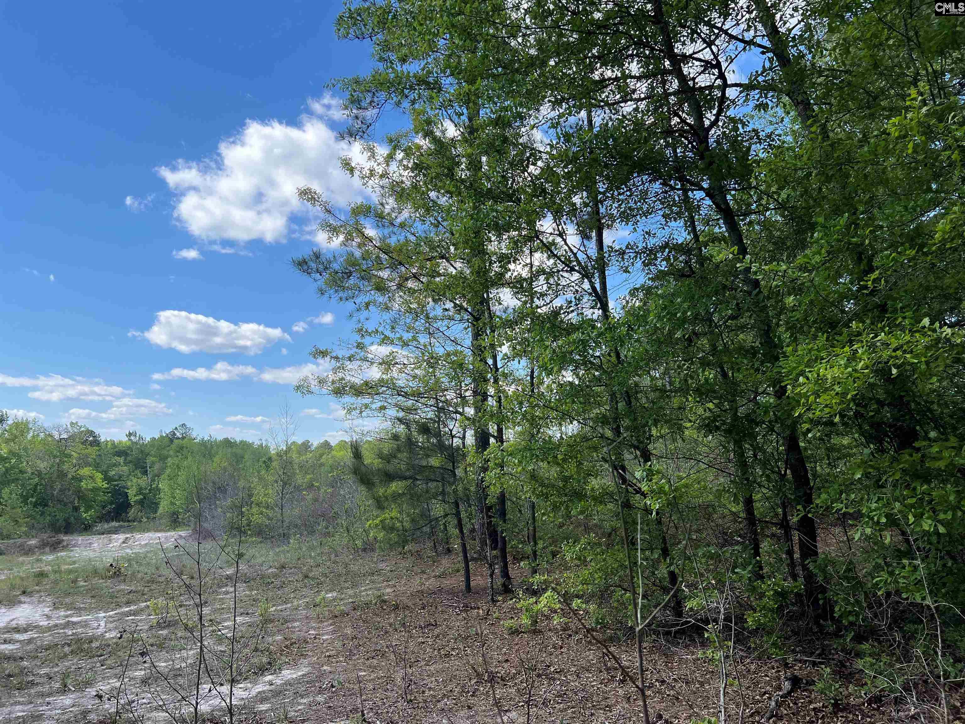 Lot 5 Quattlebaum Rd #5, Leesville, South Carolina image 10