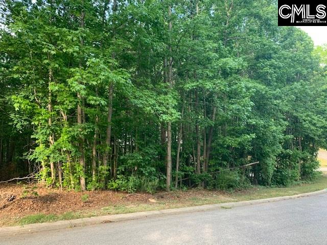 335 Daylily Drive Lexington, SC 29072