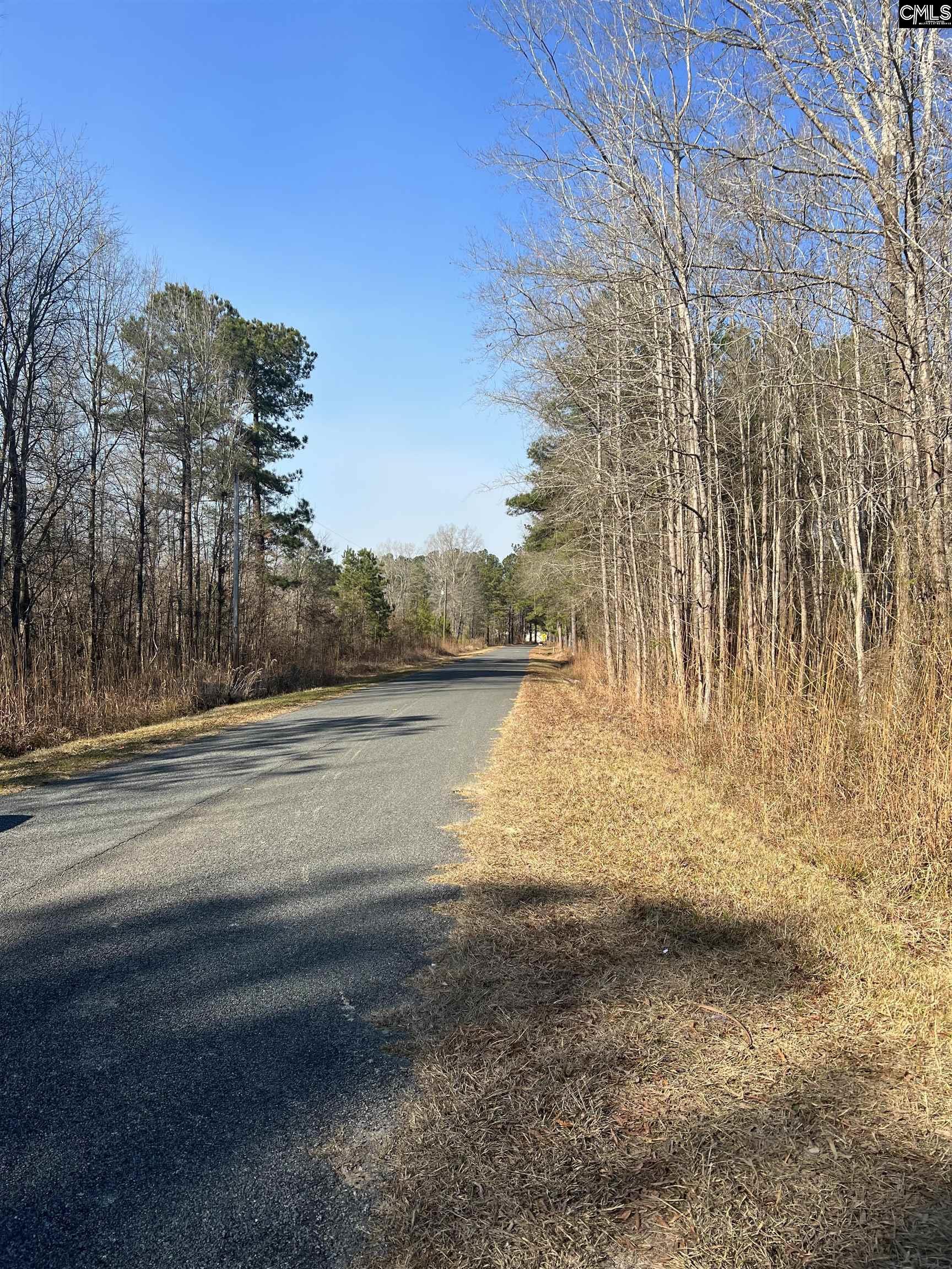 Base Hill Road, Hopkins, South Carolina image 4