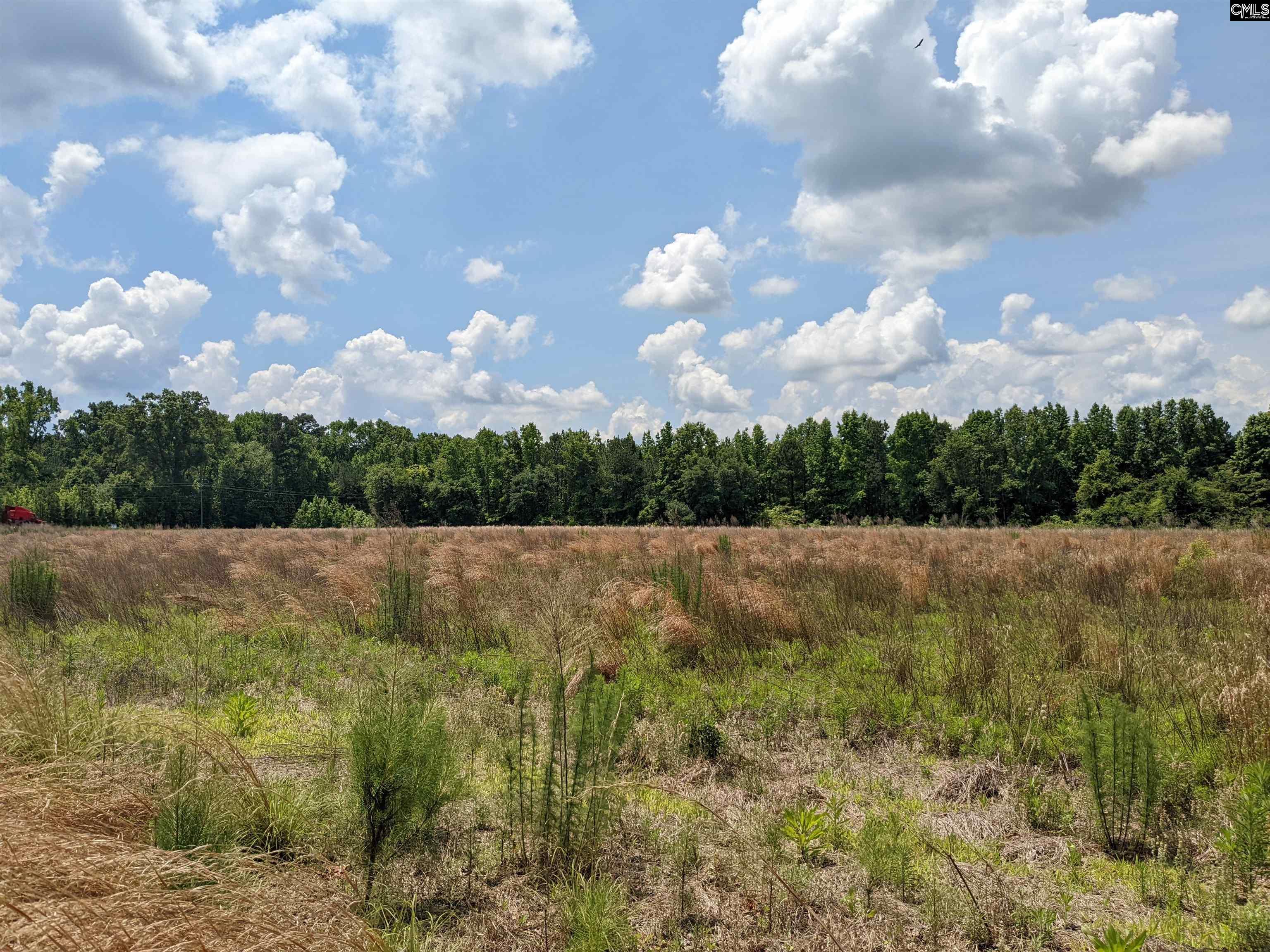 South 5th Street Hartsville, SC 29551