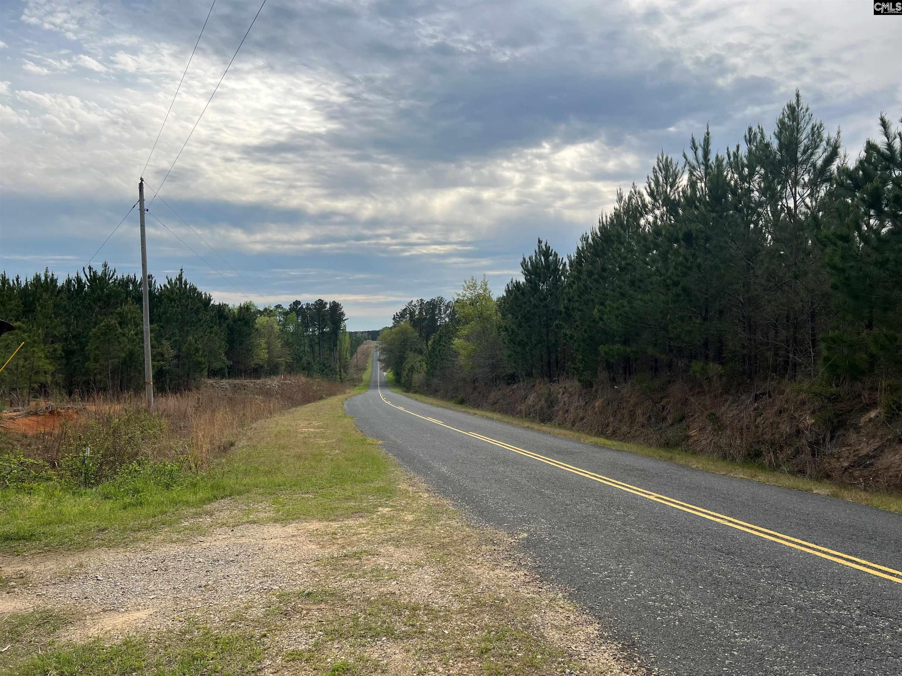 Lot 9C Horses Neck Rd #9C, Swansea, South Carolina image 1