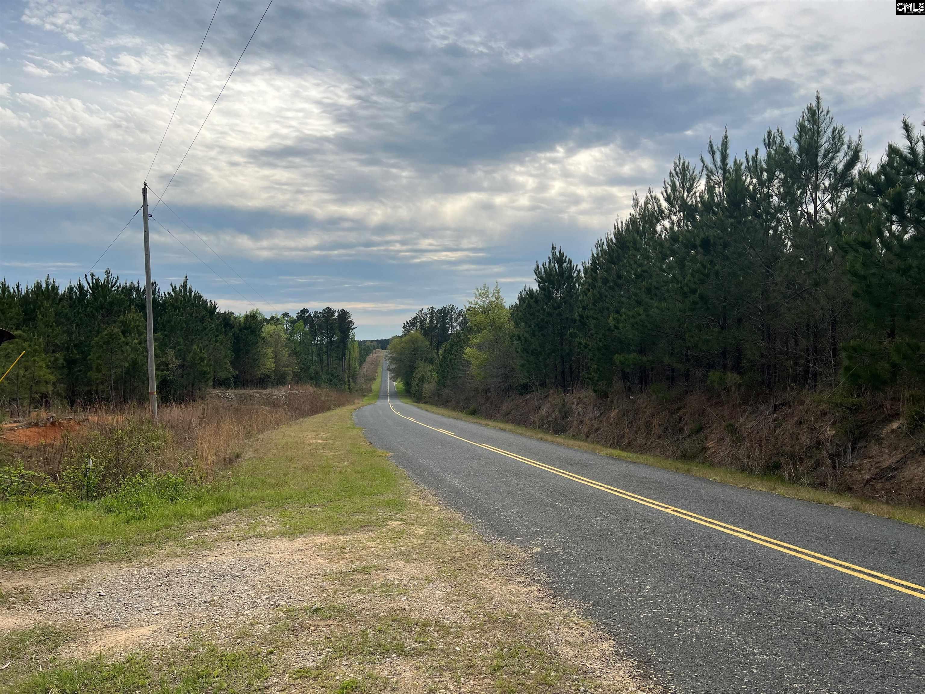 Lot 10c Catalina Blvd Unit 10c Swansea, SC 29160