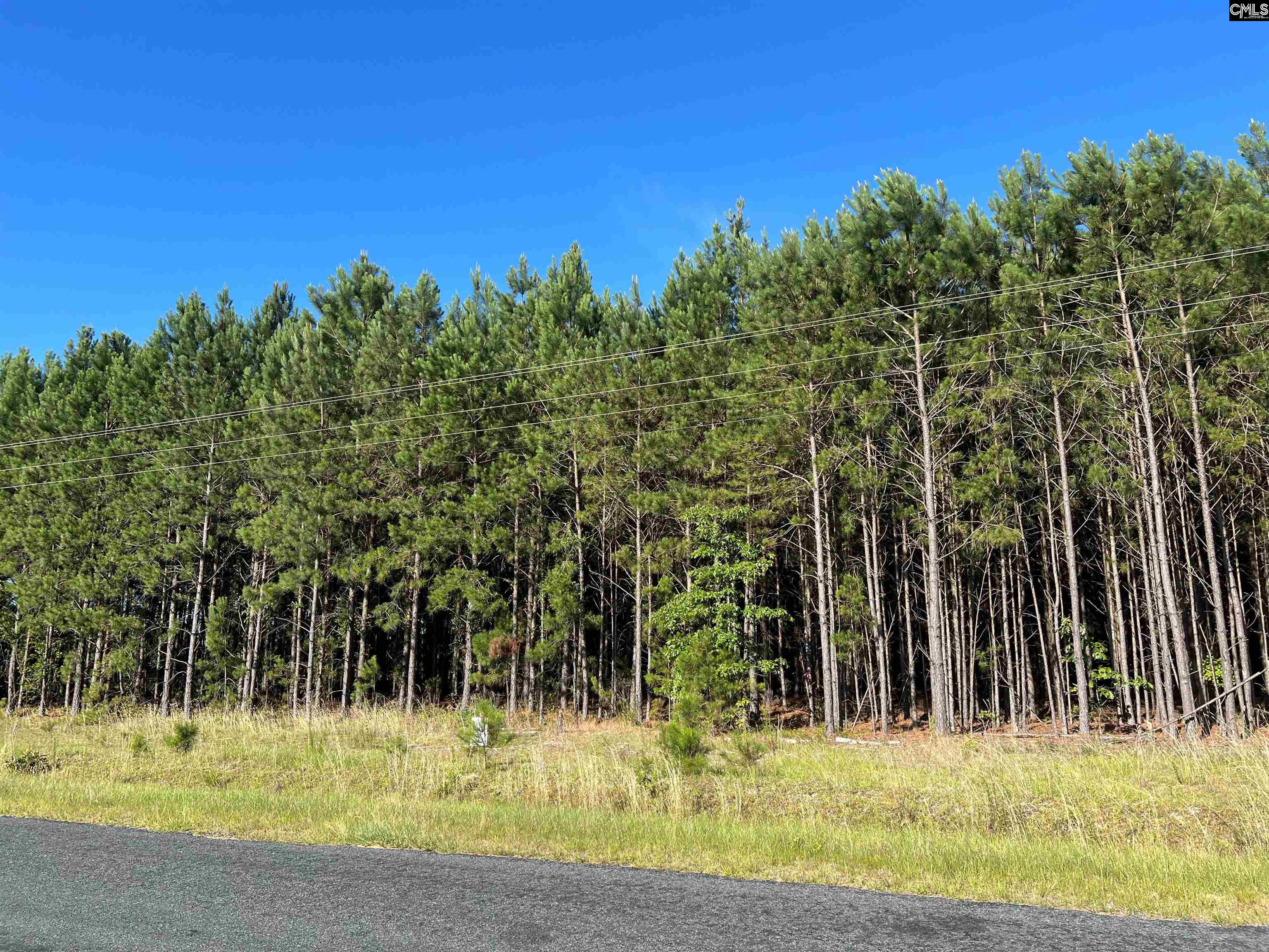Lot 17b Horses Neck Rd Unit 17b Swansea, SC 29160