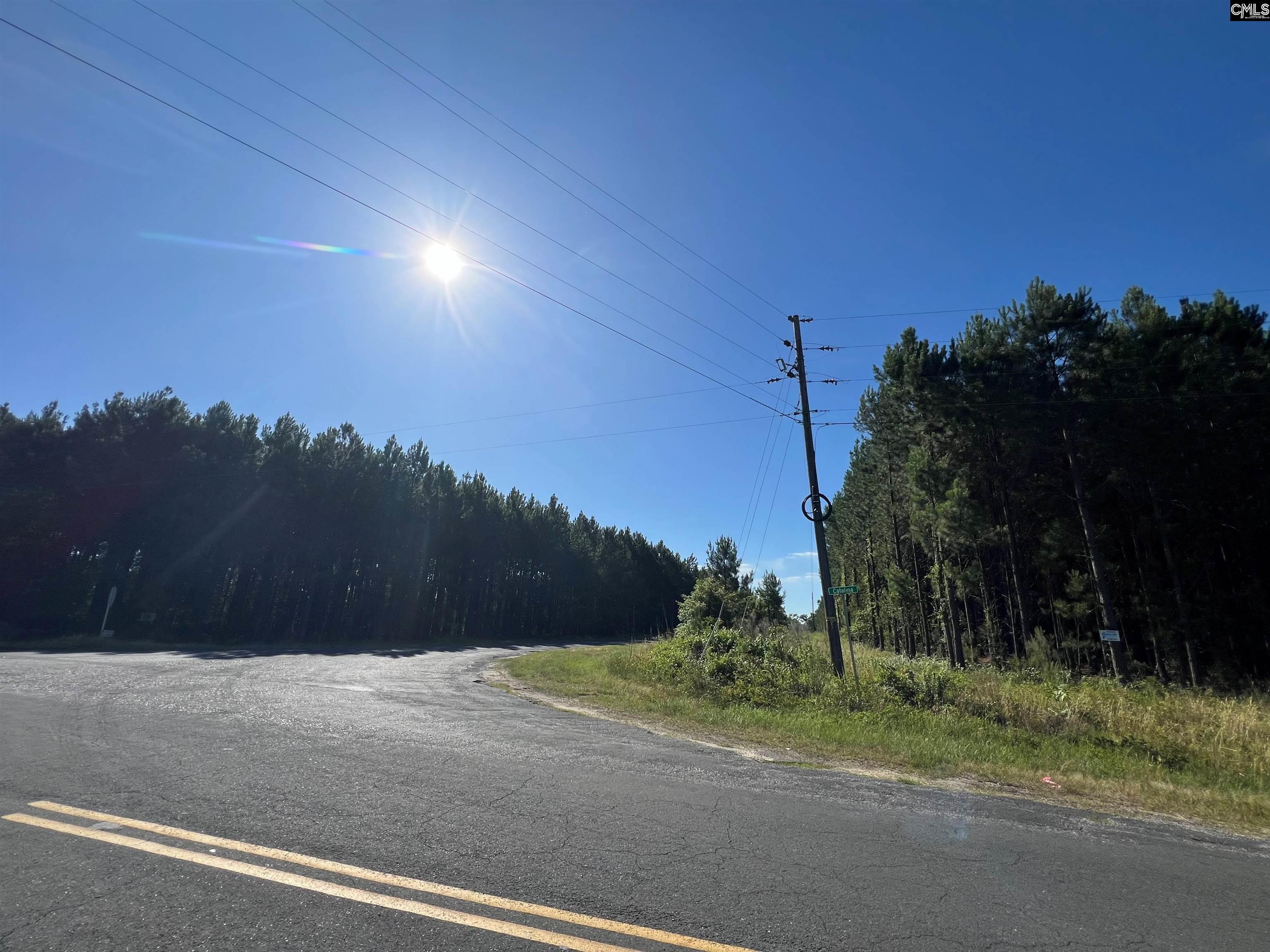 Lot 21 Catalina Blvd Unit Lot 21 Swansea, SC 29160