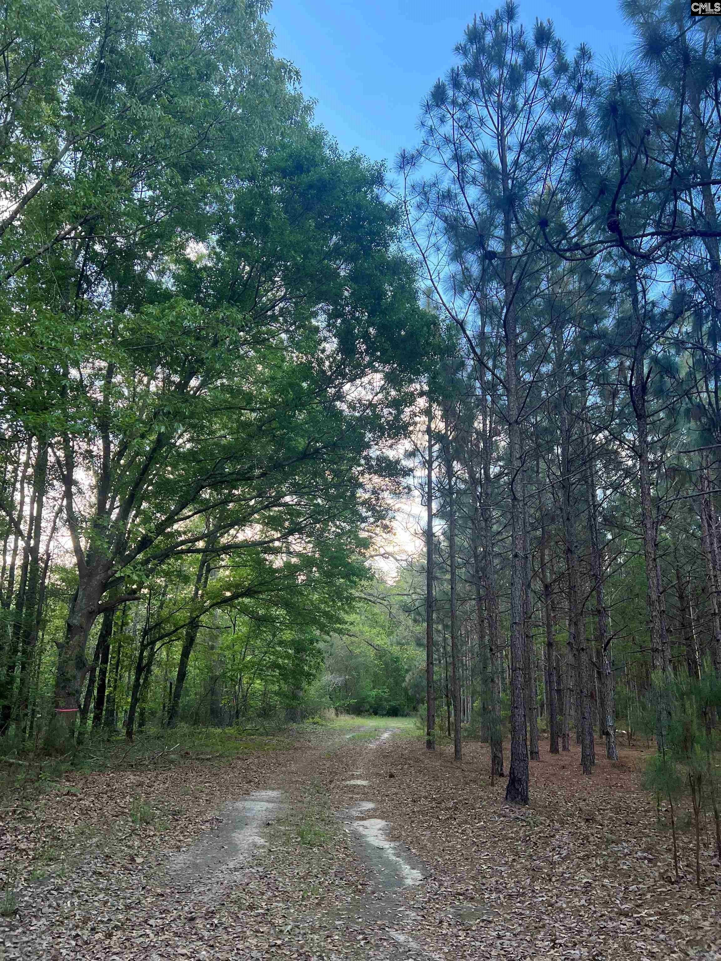 DH 3 Wagener Rd #DH 3, Wagener, South Carolina image 2