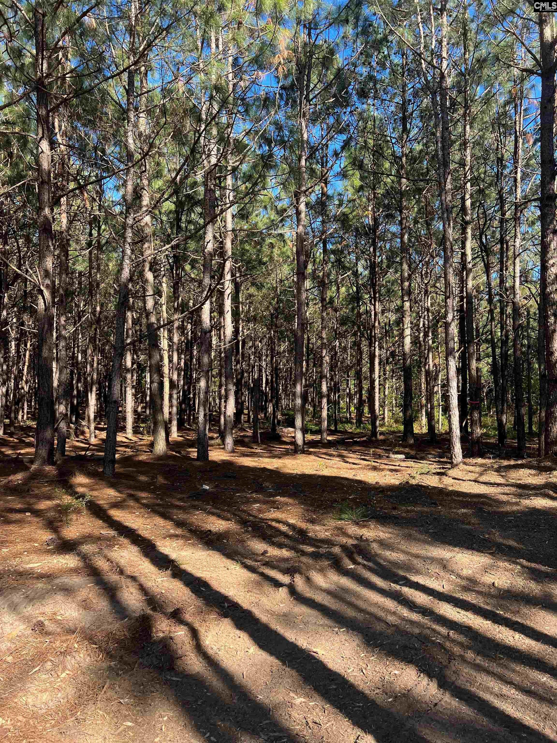 DH 3 Wagener Rd #DH 3, Wagener, South Carolina image 3