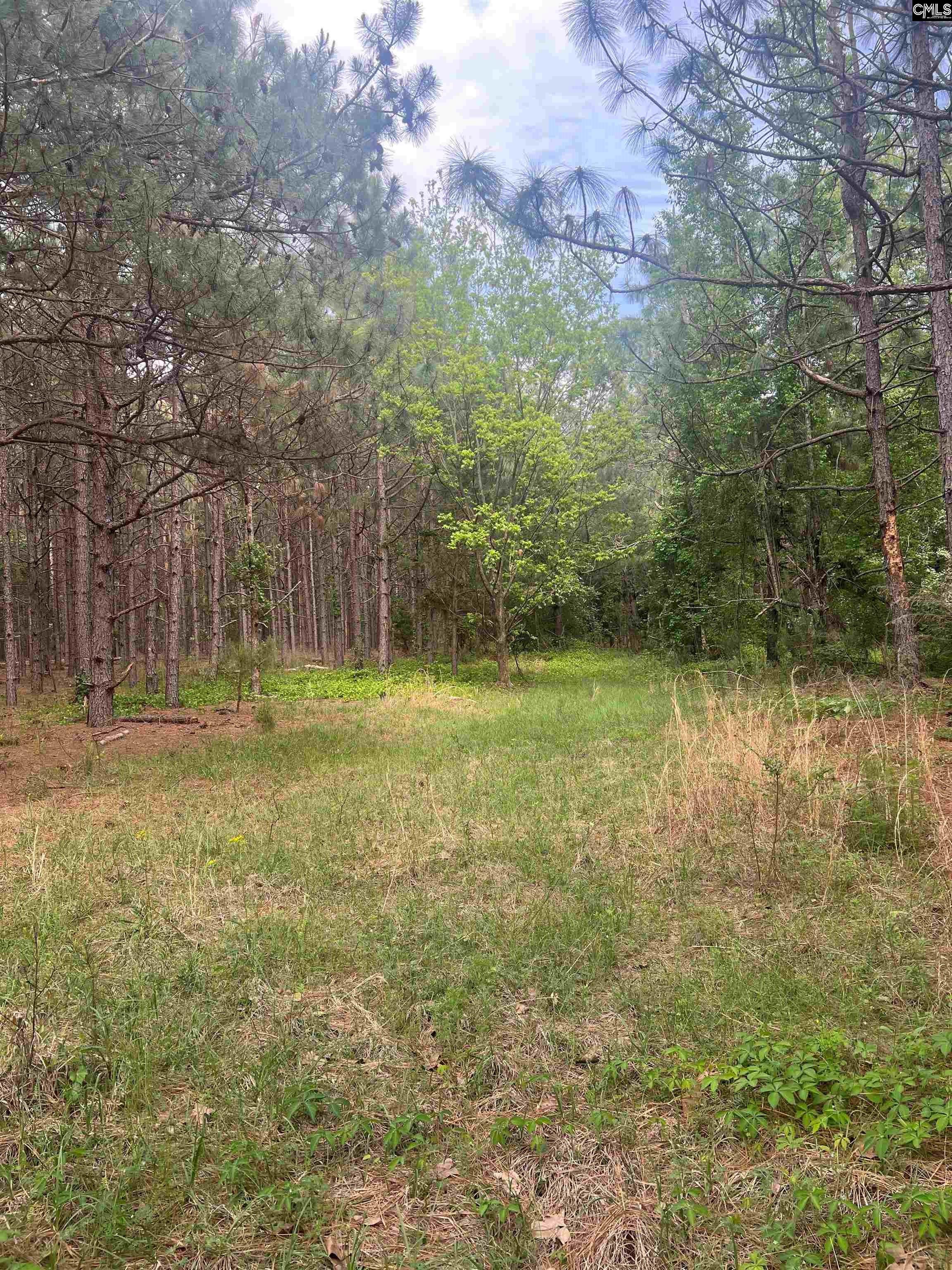 DH 3 Wagener Rd #DH 3, Wagener, South Carolina image 6