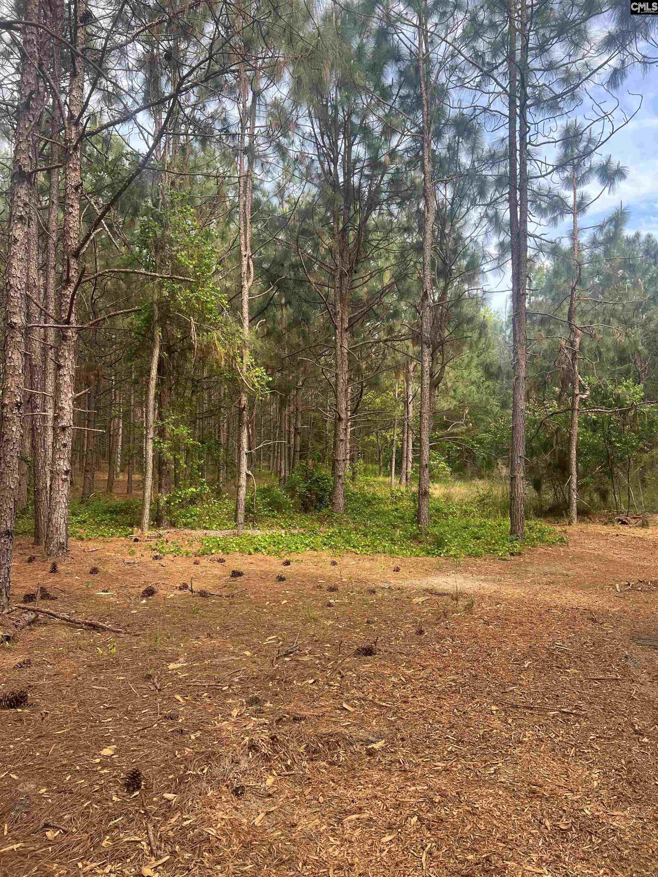 DH 3 Wagener Rd #DH 3, Wagener, South Carolina image 7