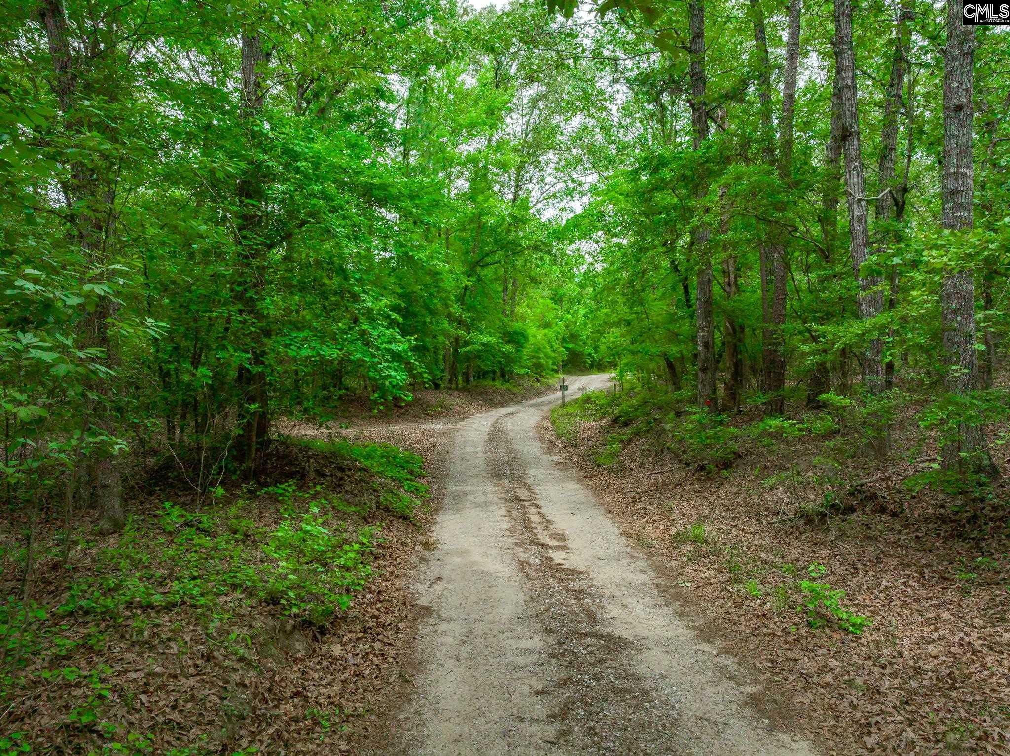 Image 97