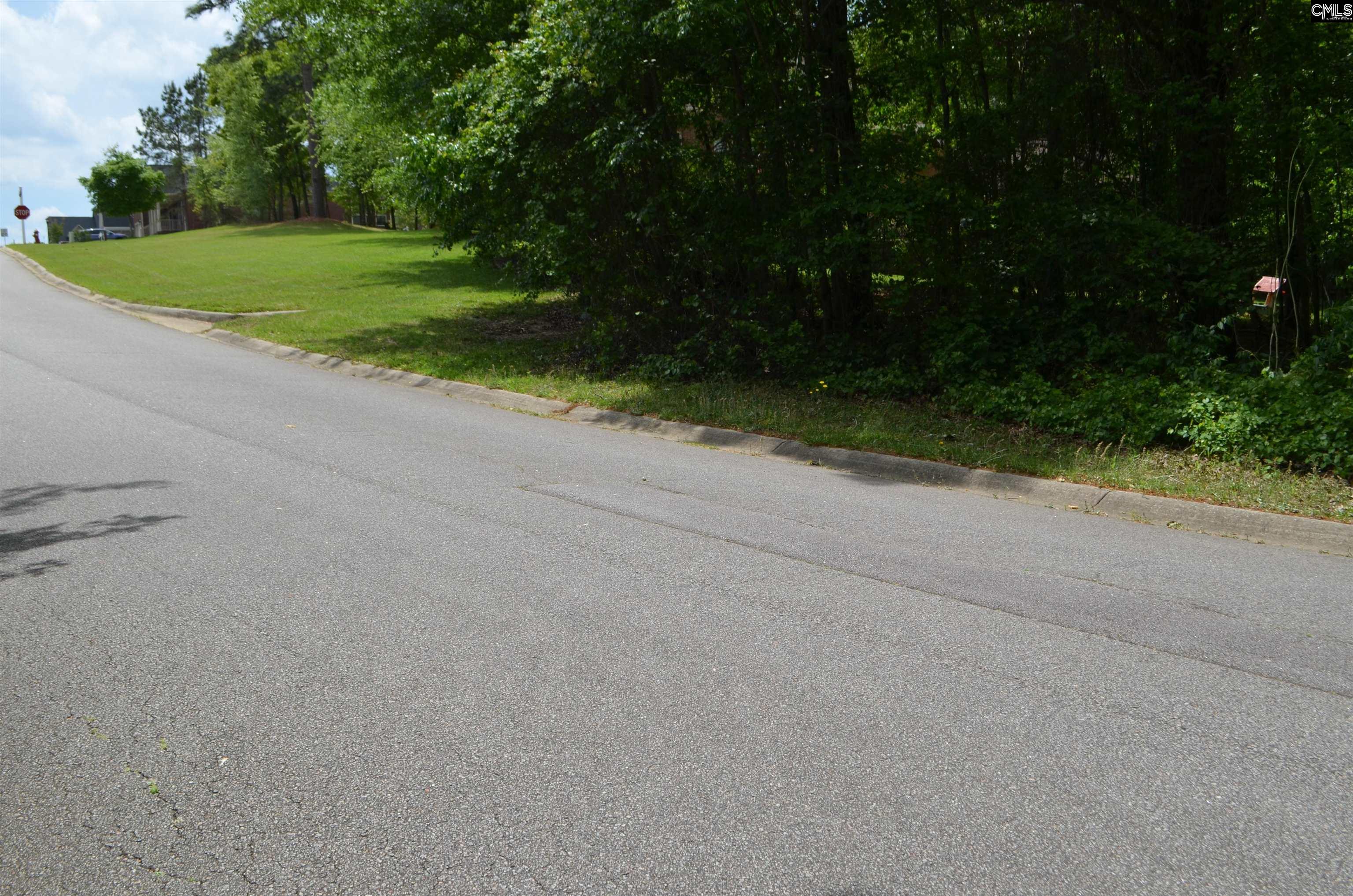 105 Westlake Rdige Drive, Blythewood, South Carolina image 4