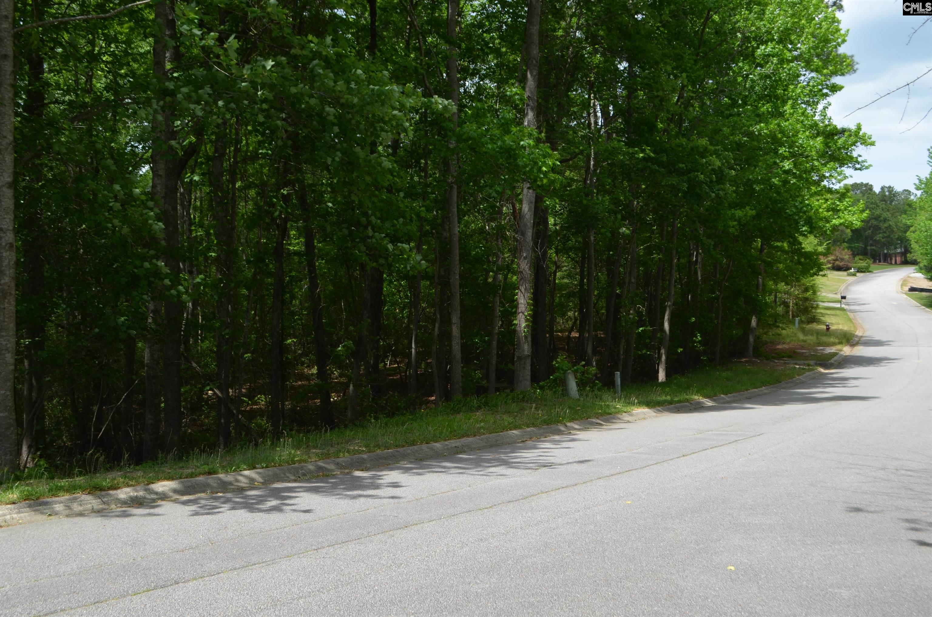 105 Westlake Rdige Drive, Blythewood, South Carolina image 6