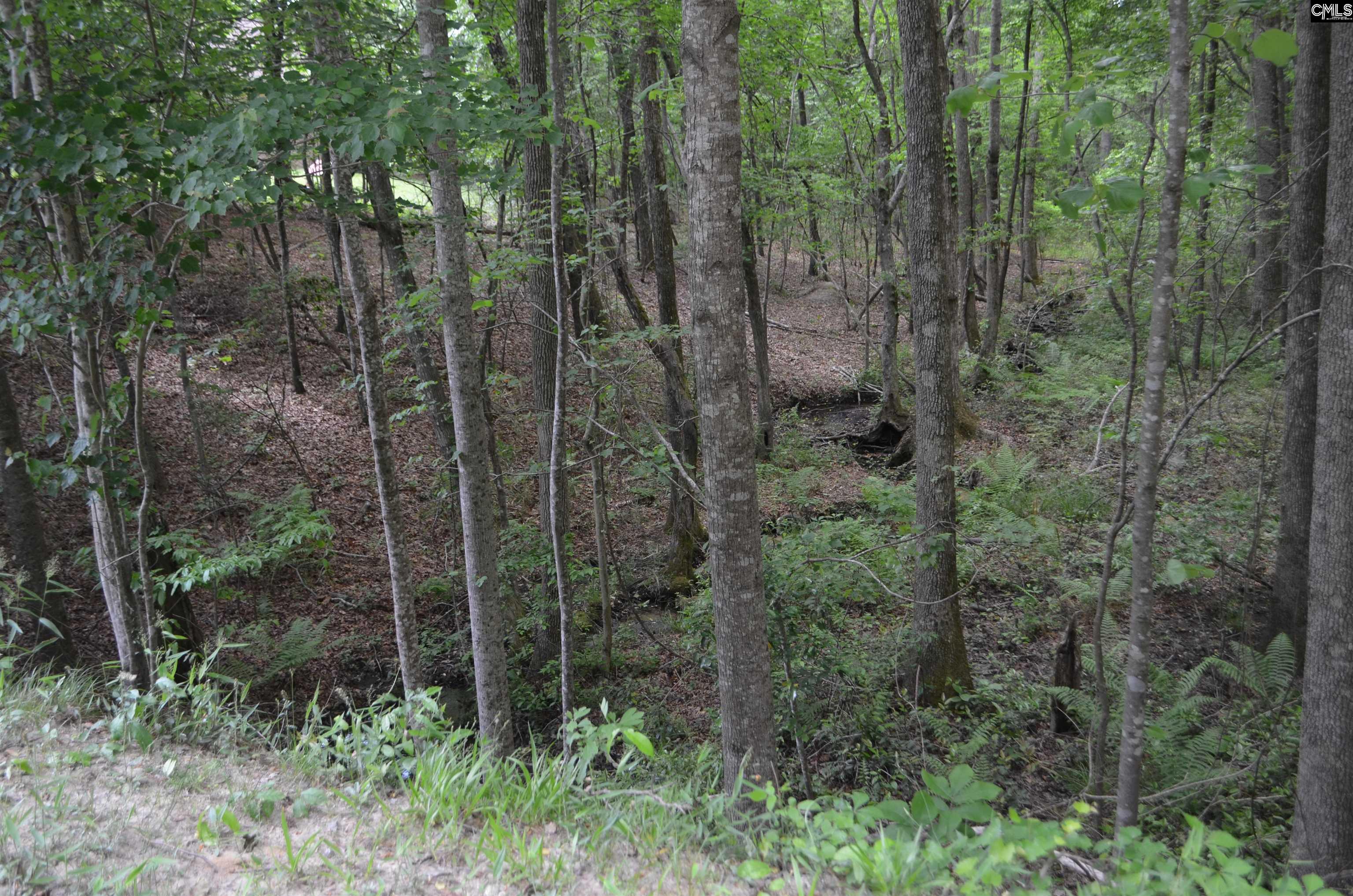 105 Westlake Rdige Drive, Blythewood, South Carolina image 7