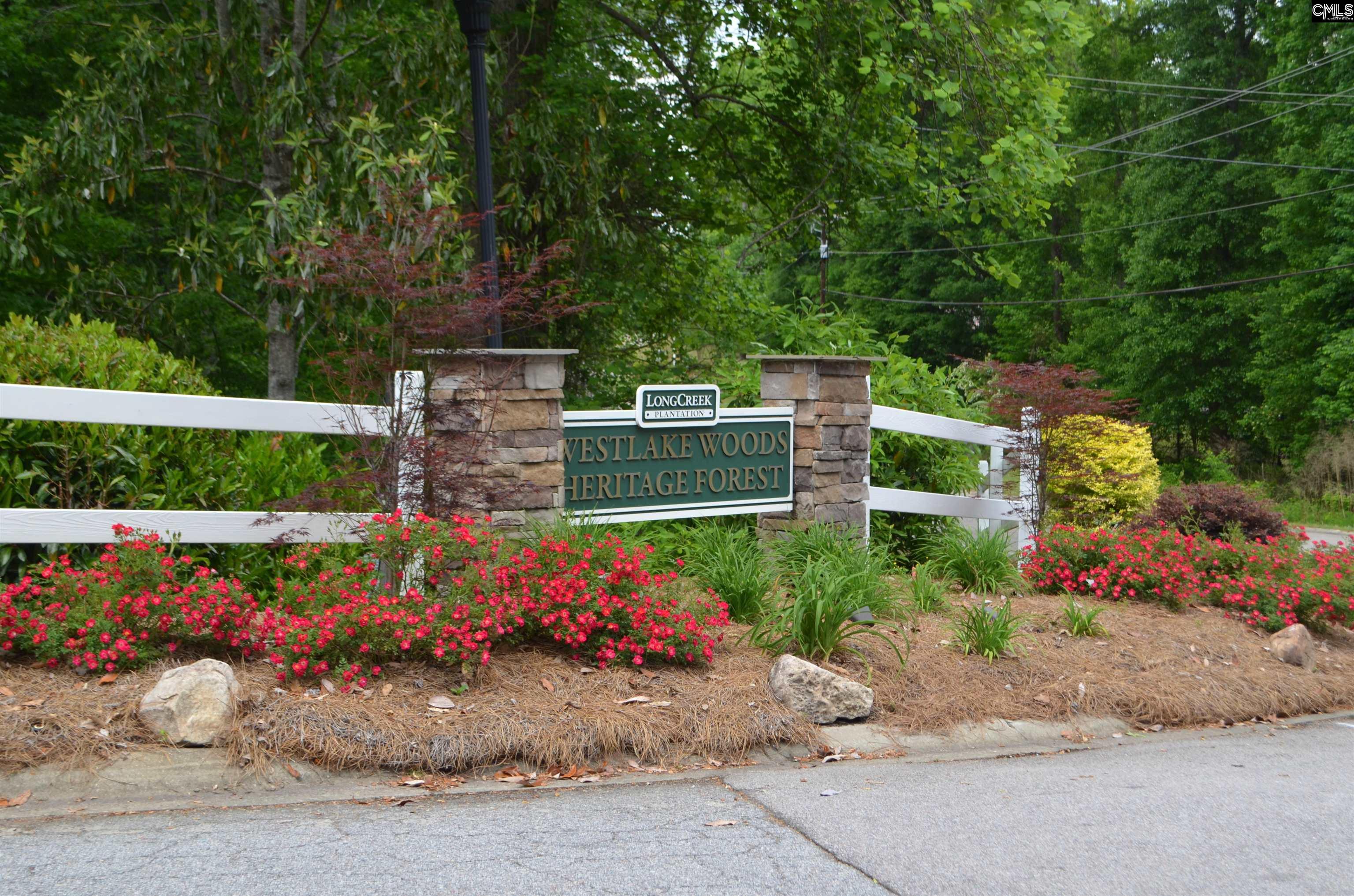 105 Westlake Rdige Drive, Blythewood, South Carolina image 8