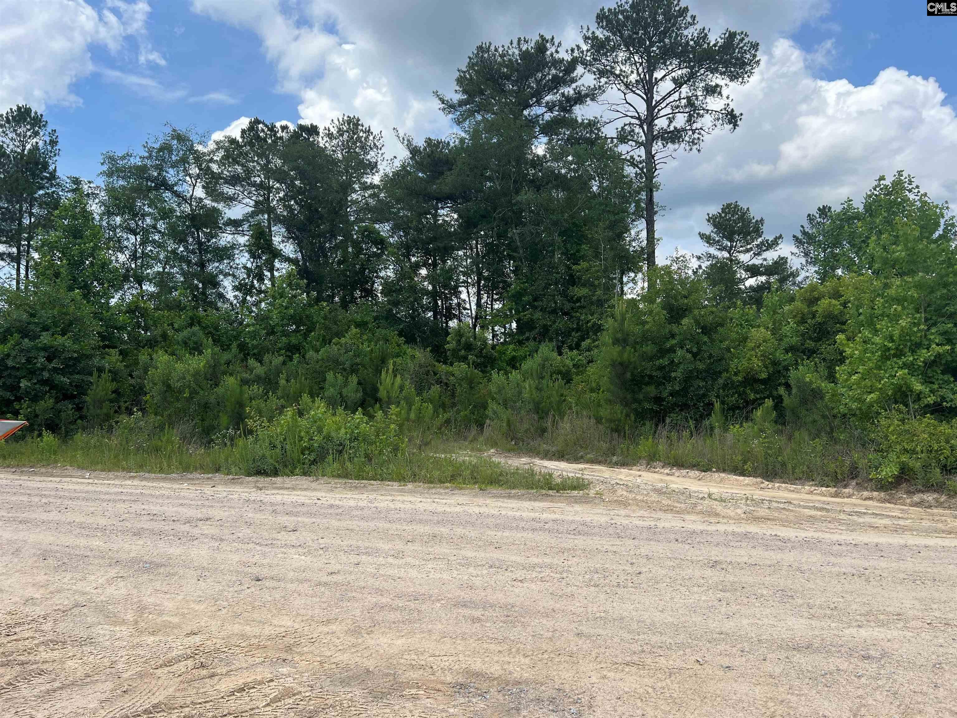 Lot 14 Nurnberg Dr Unit Lot 14 Leesville, SC 29070
