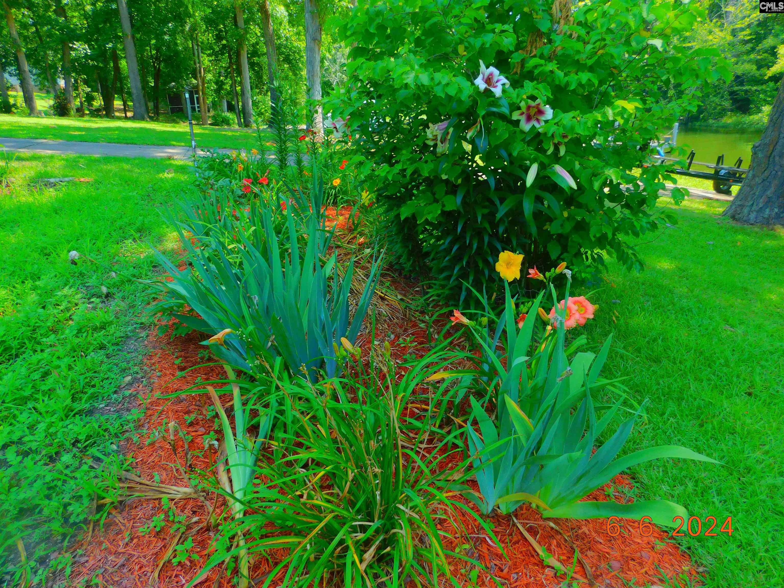 Image 65