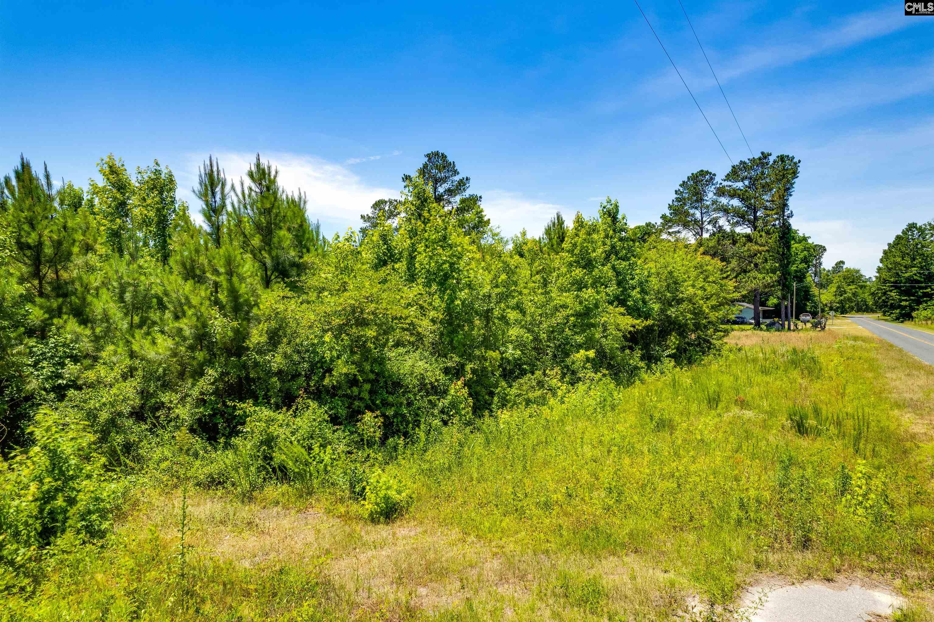 Co Rd Btw Hwys 692+210, Bowman, South Carolina image 12
