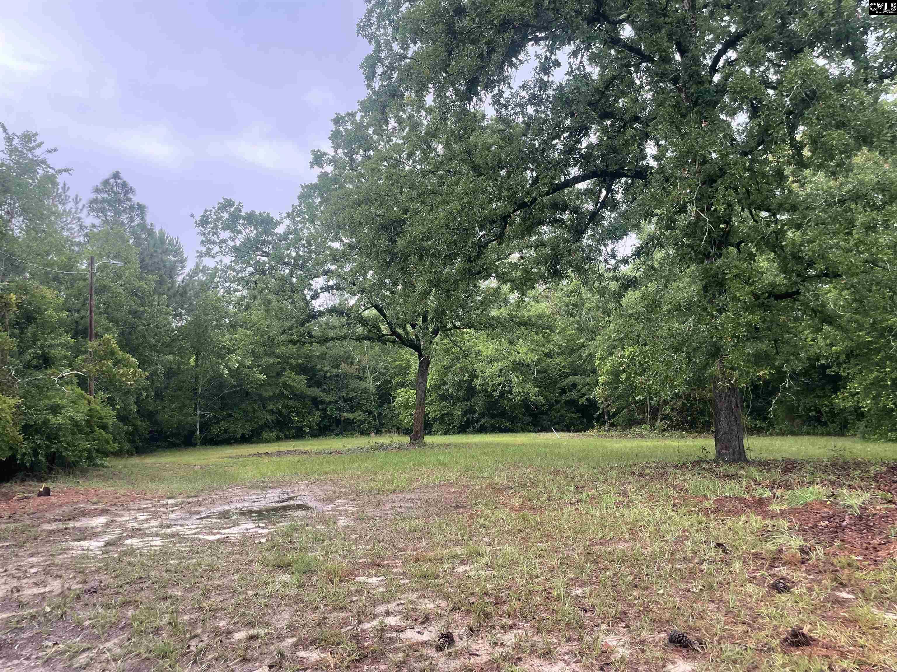 2562 Pond Branch Road, Leesville, South Carolina image 1