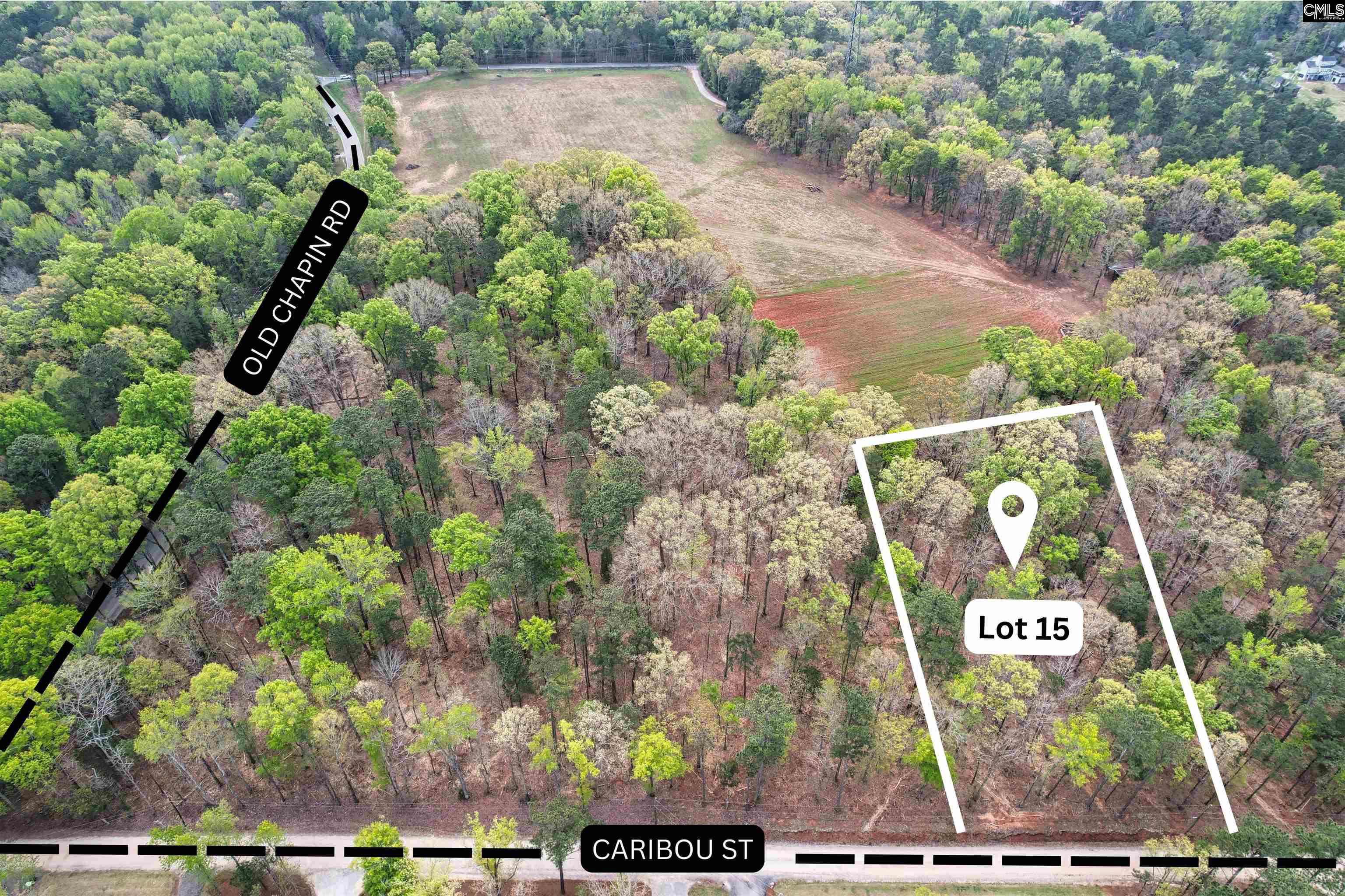 131 Caribou Street Unit #15 Lexington, SC 29072