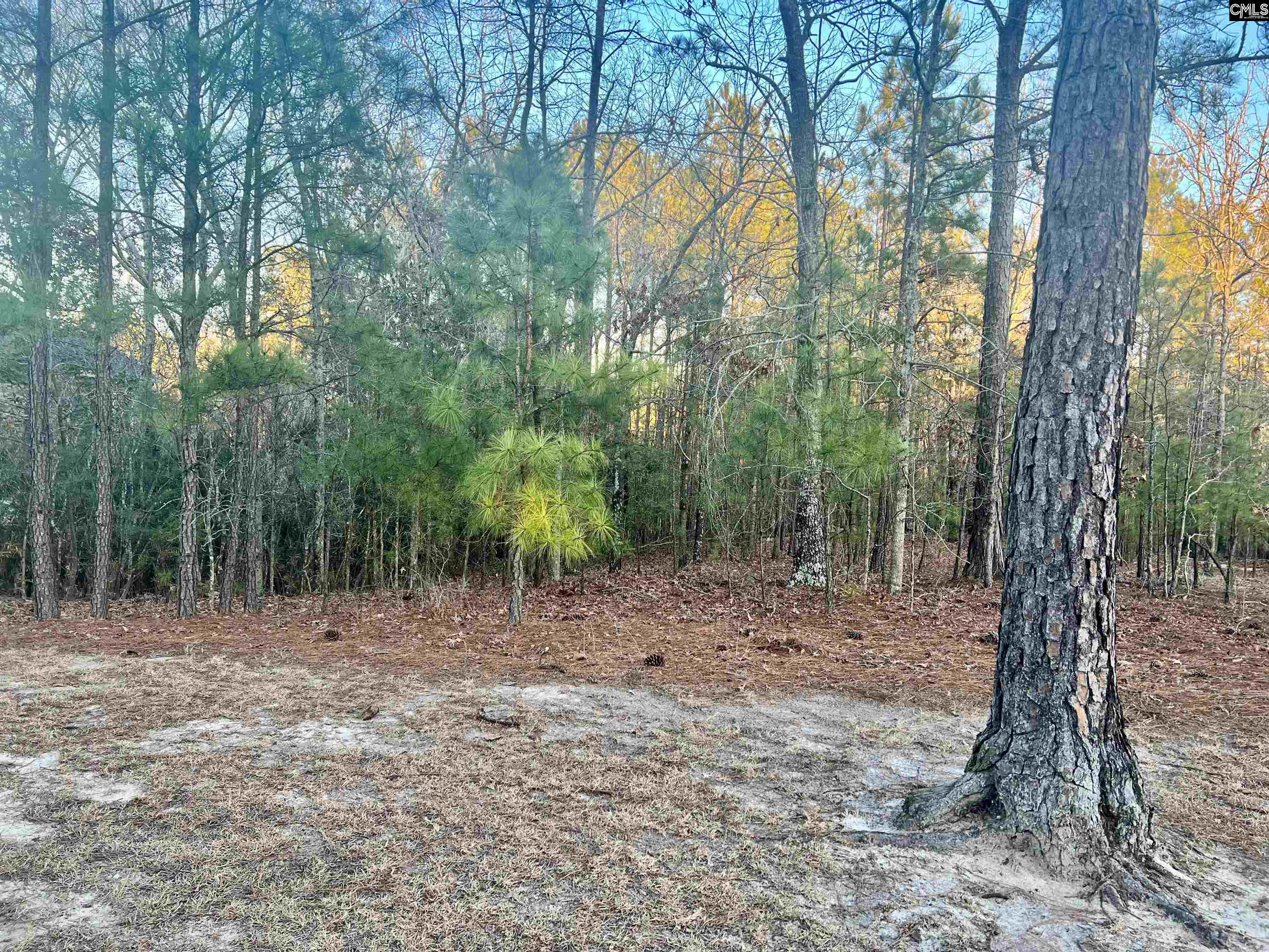 307 Habor Drive Unit #65 Columbia, SC 29229