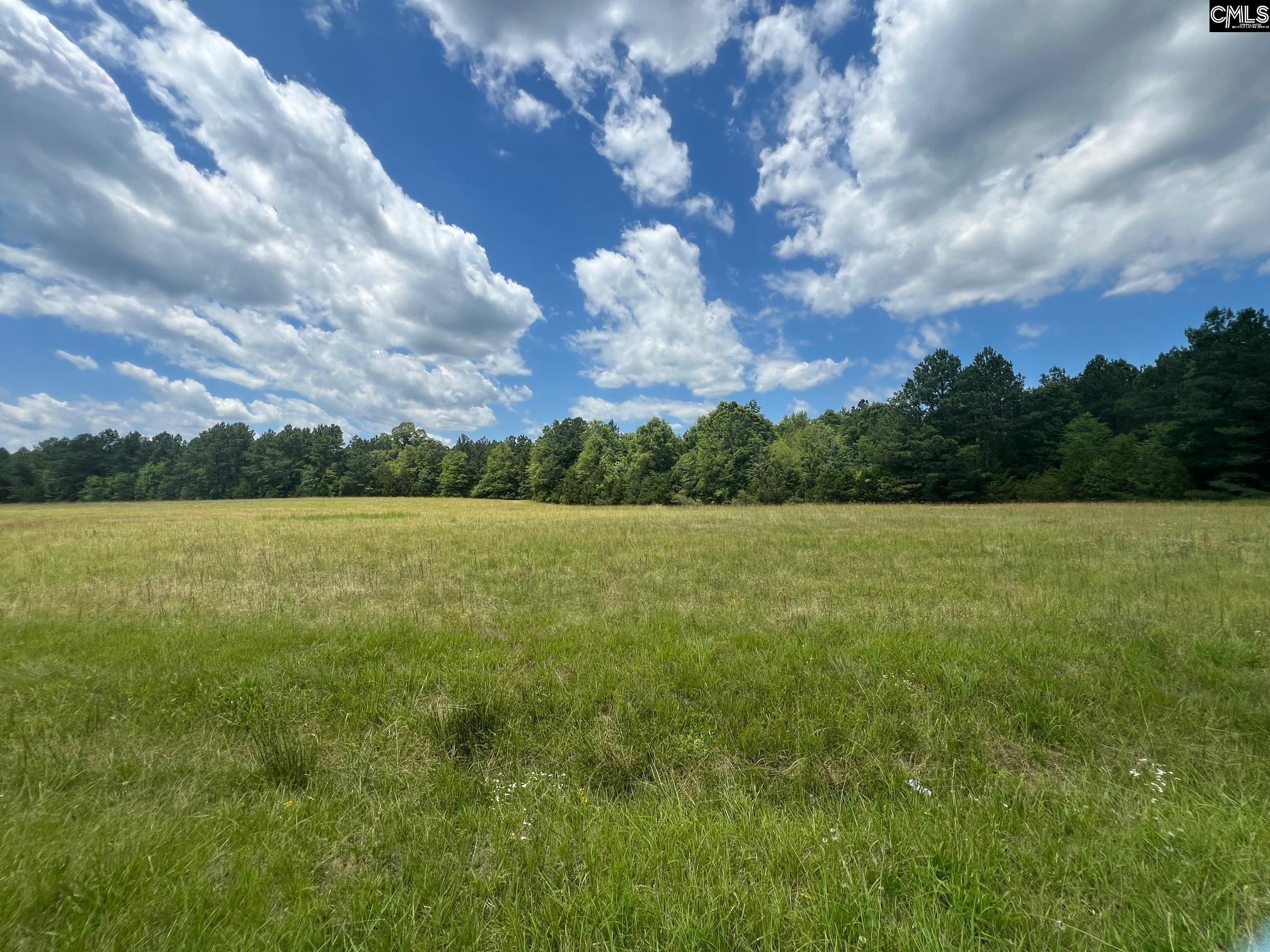 TBD Richburg Rd, Richburg, South Carolina image 1
