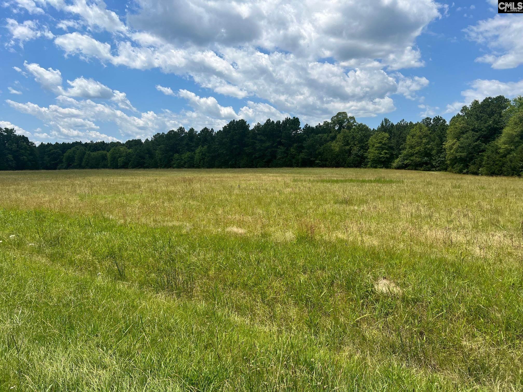 TBD Richburg Rd, Richburg, South Carolina image 5