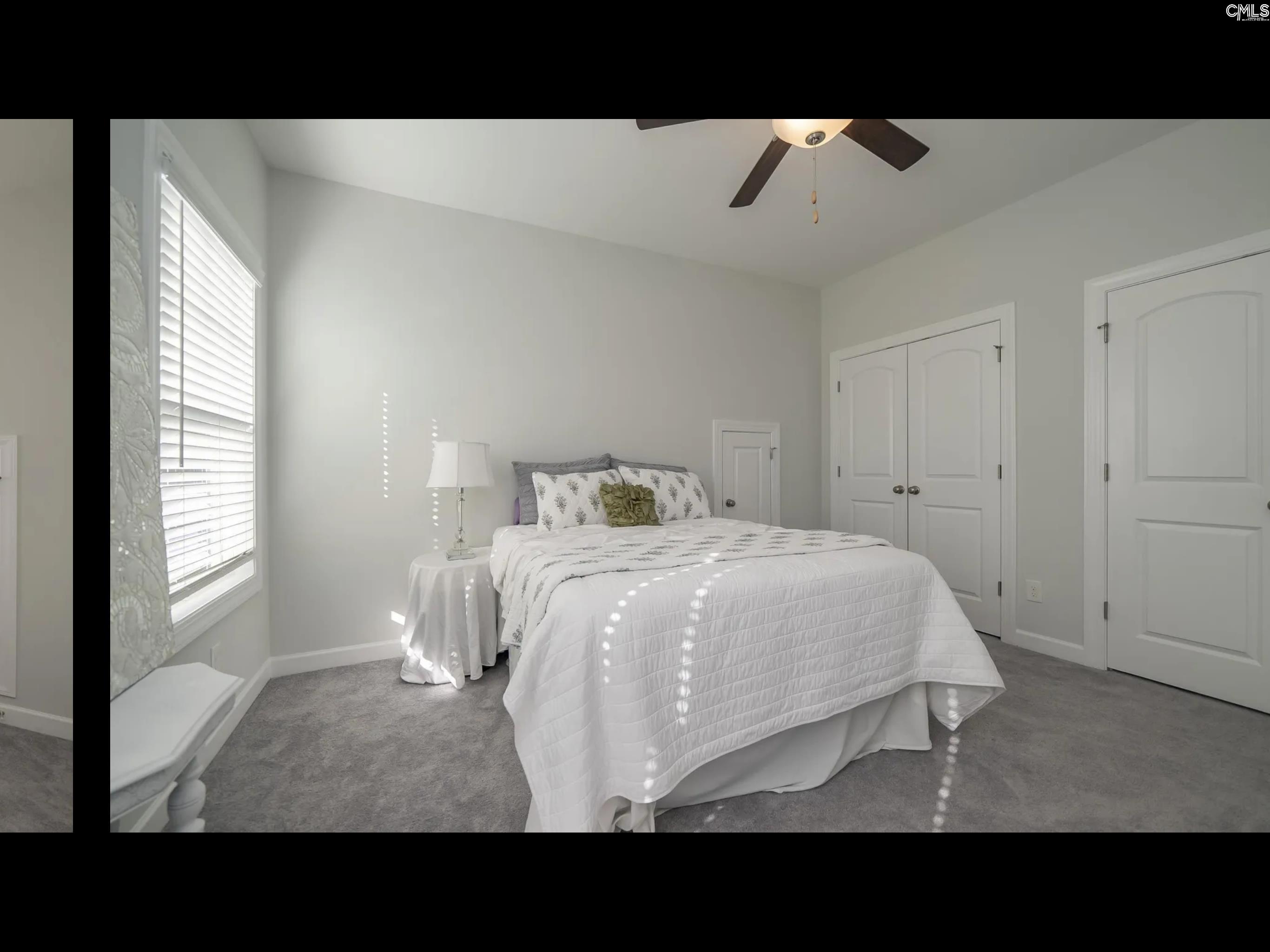 1241 Danvers Lane, Chapin, South Carolina image 38