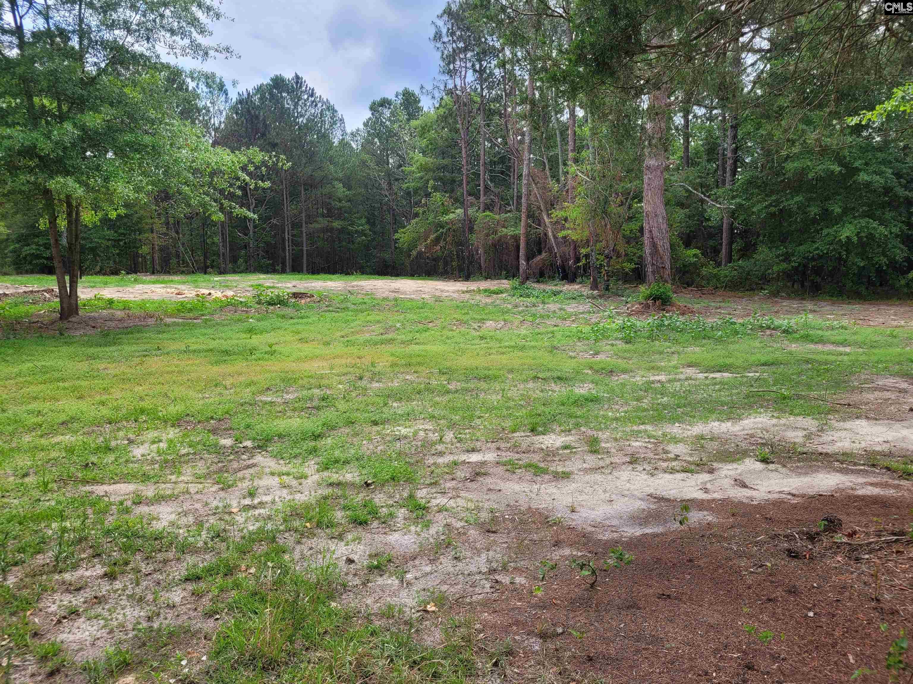 501 Green Gold Drive Leesville, SC 29070