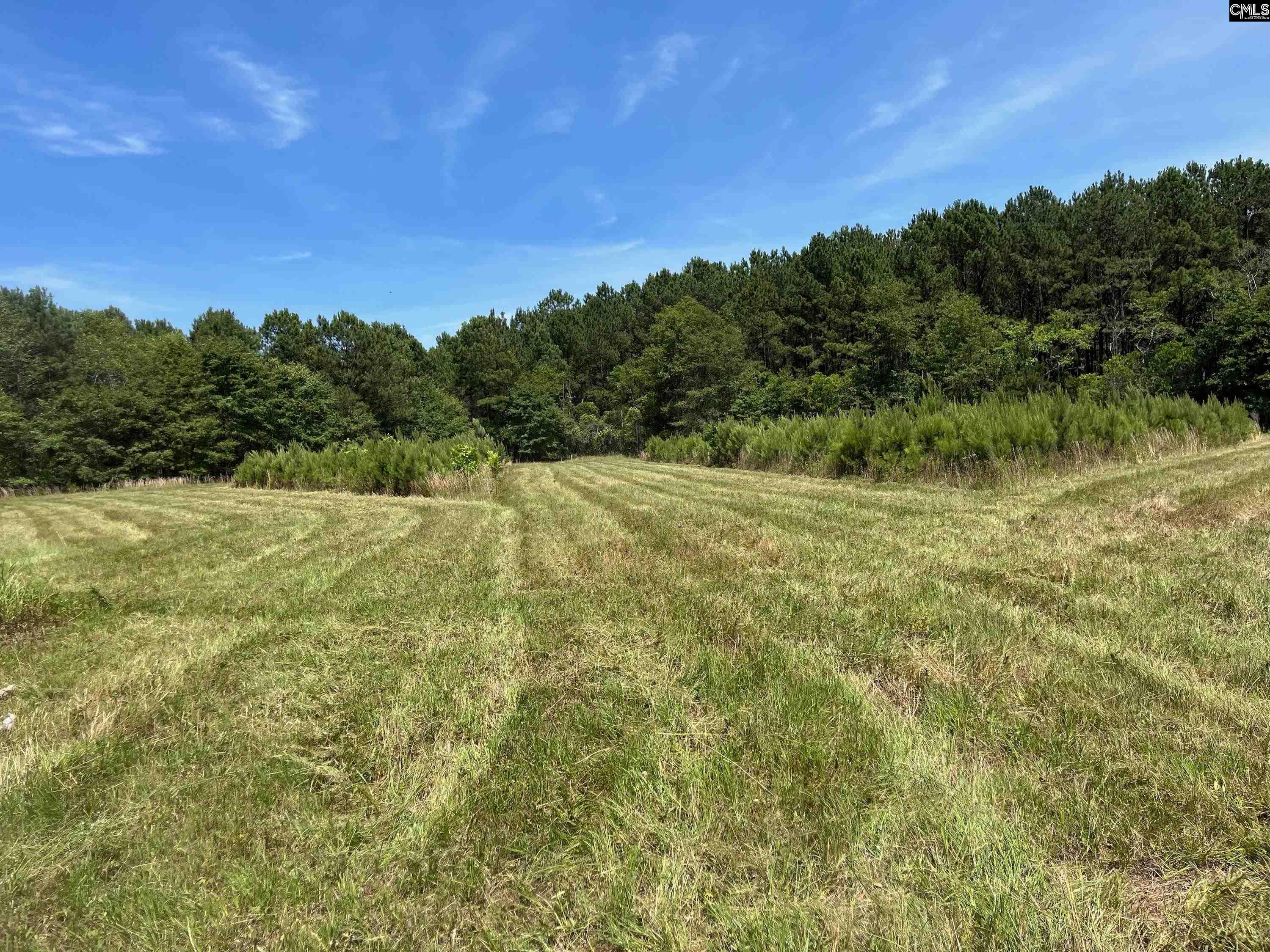 545 Basil Road Swansea, SC 29160