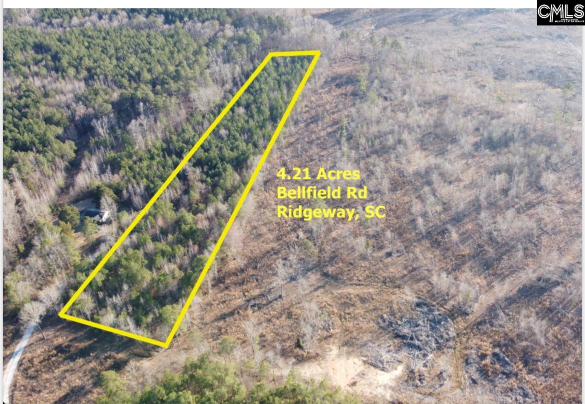 Parcel B Sw of Bellfield Road Ridgeway, SC 29130