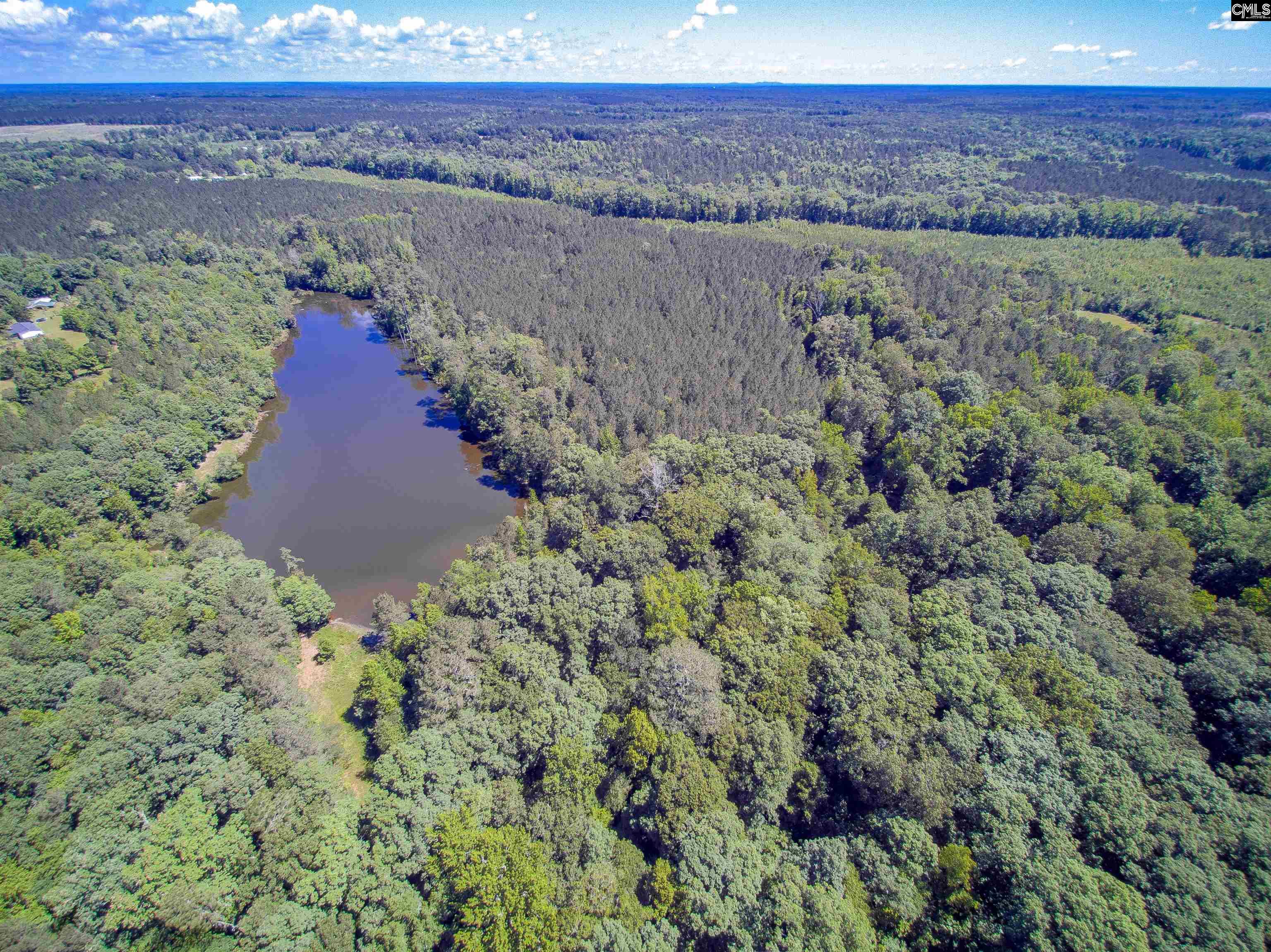 Peterson Path Batesburg, SC 29006