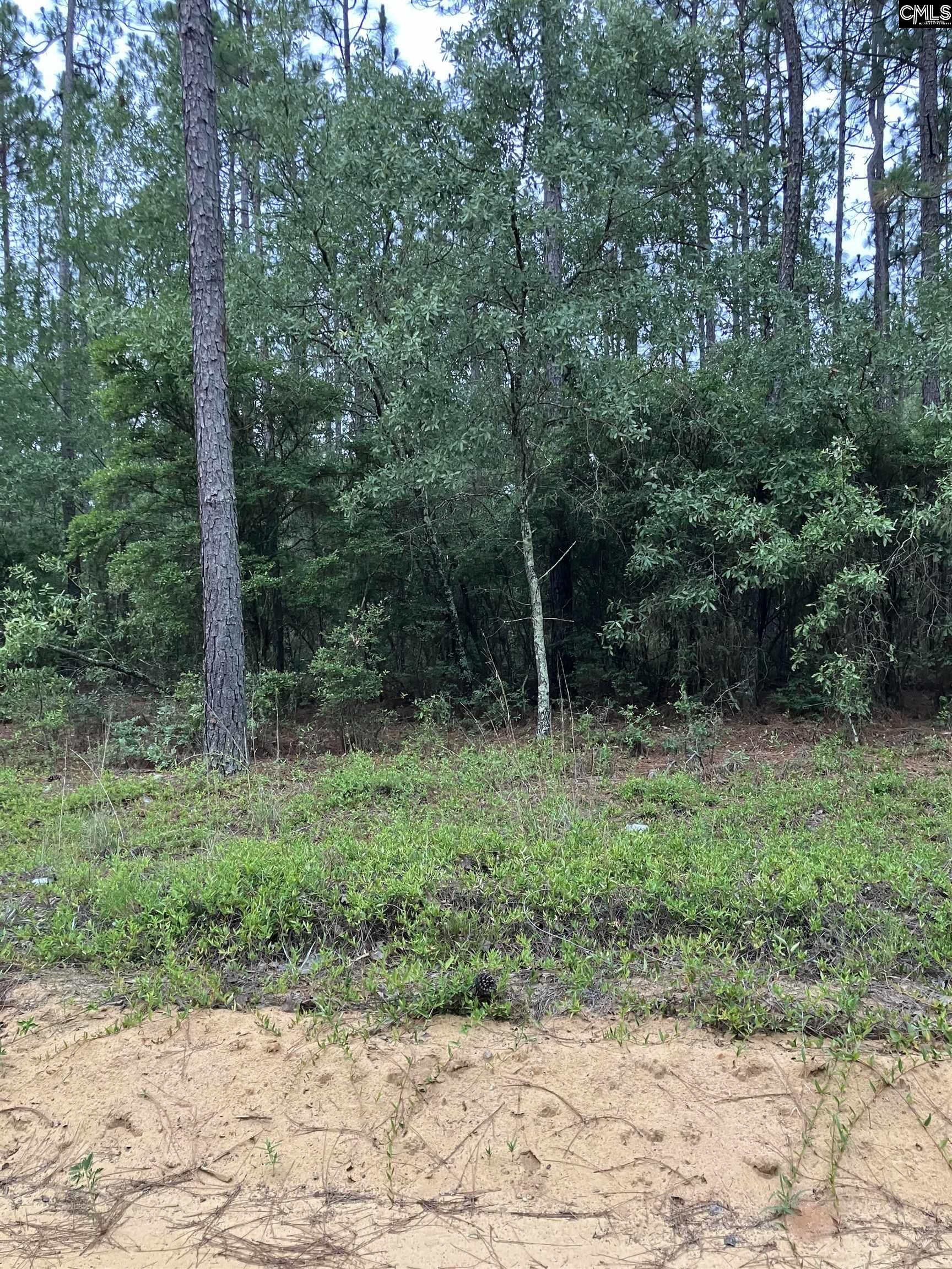 Sems Road Gaston, SC 29053