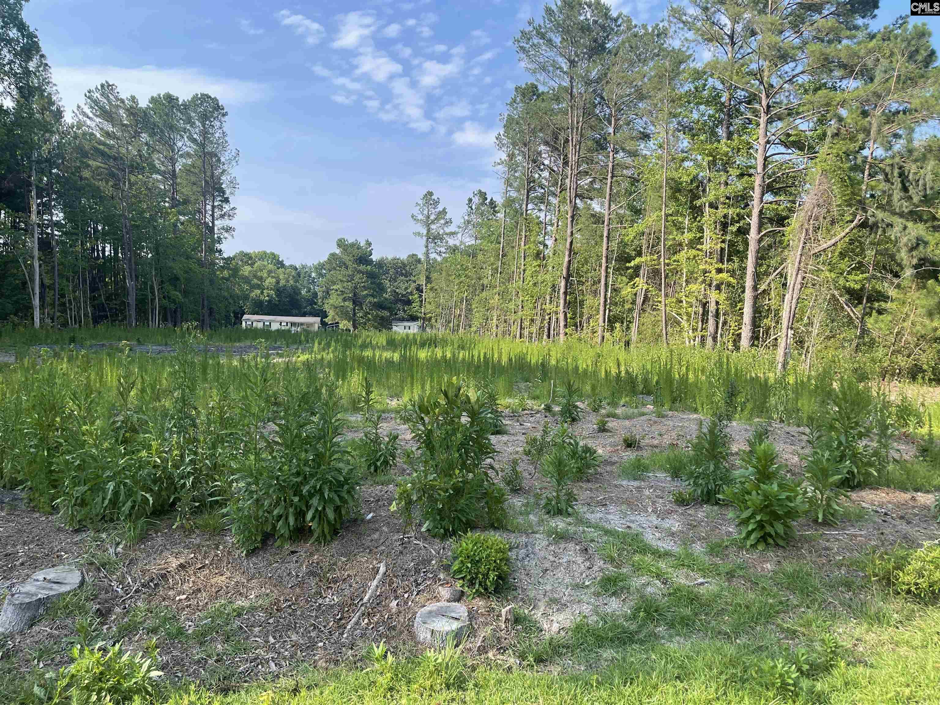 870 Unity Court, Sumter, South Carolina image 1