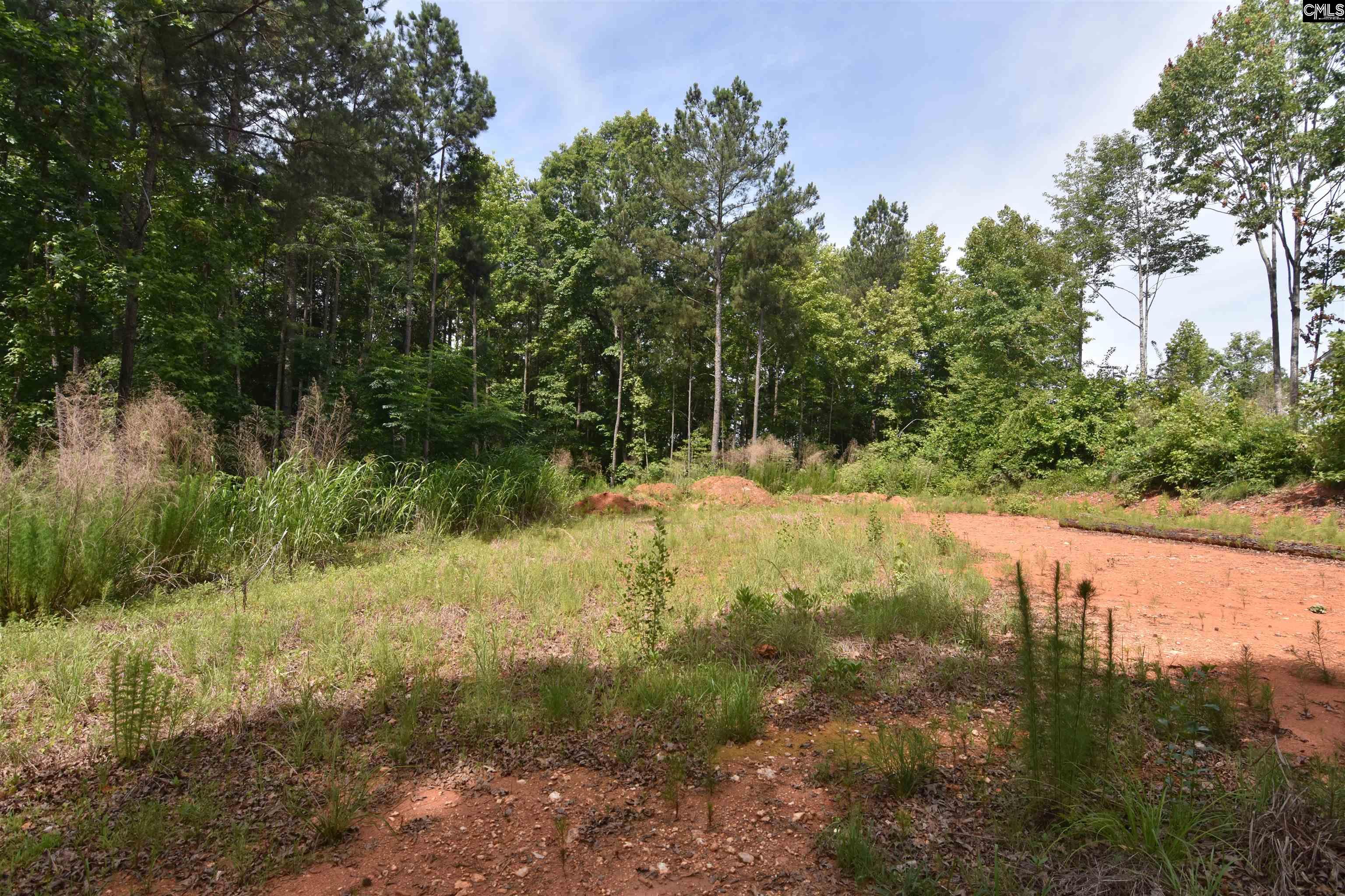 Longview Drive, Leesville, South Carolina image 11