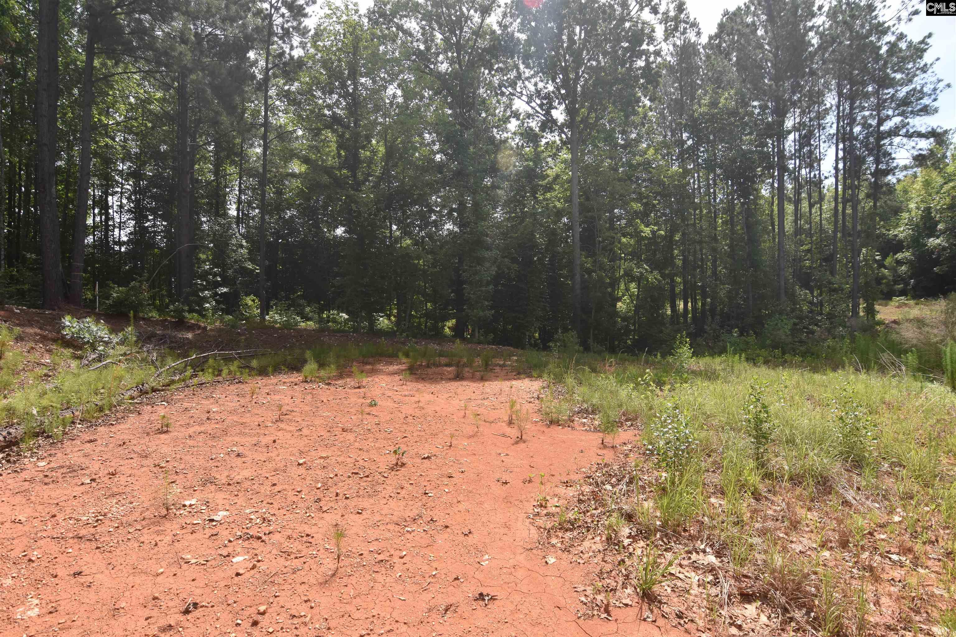 Longview Drive, Leesville, South Carolina image 12