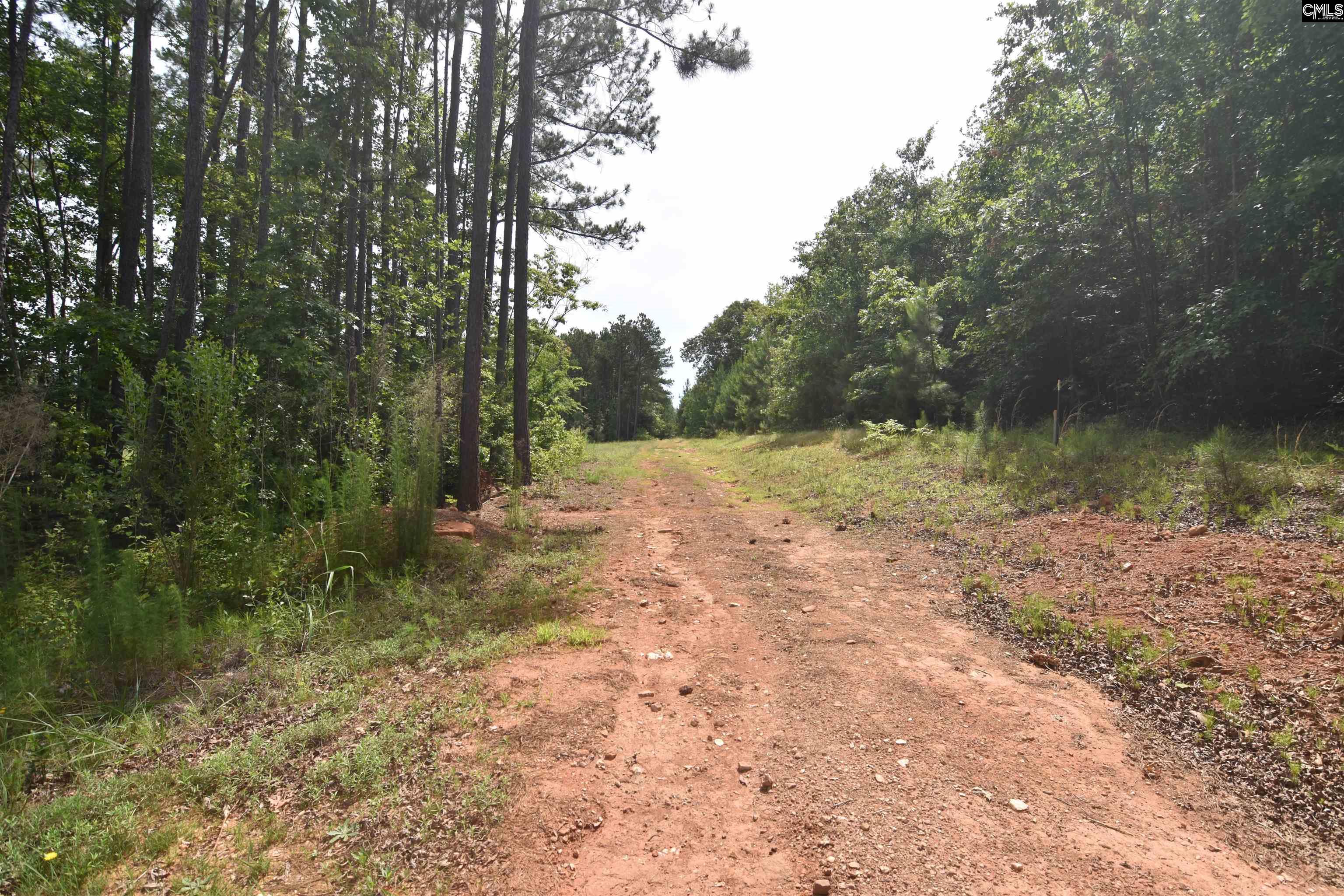 Longview Drive, Leesville, South Carolina image 13